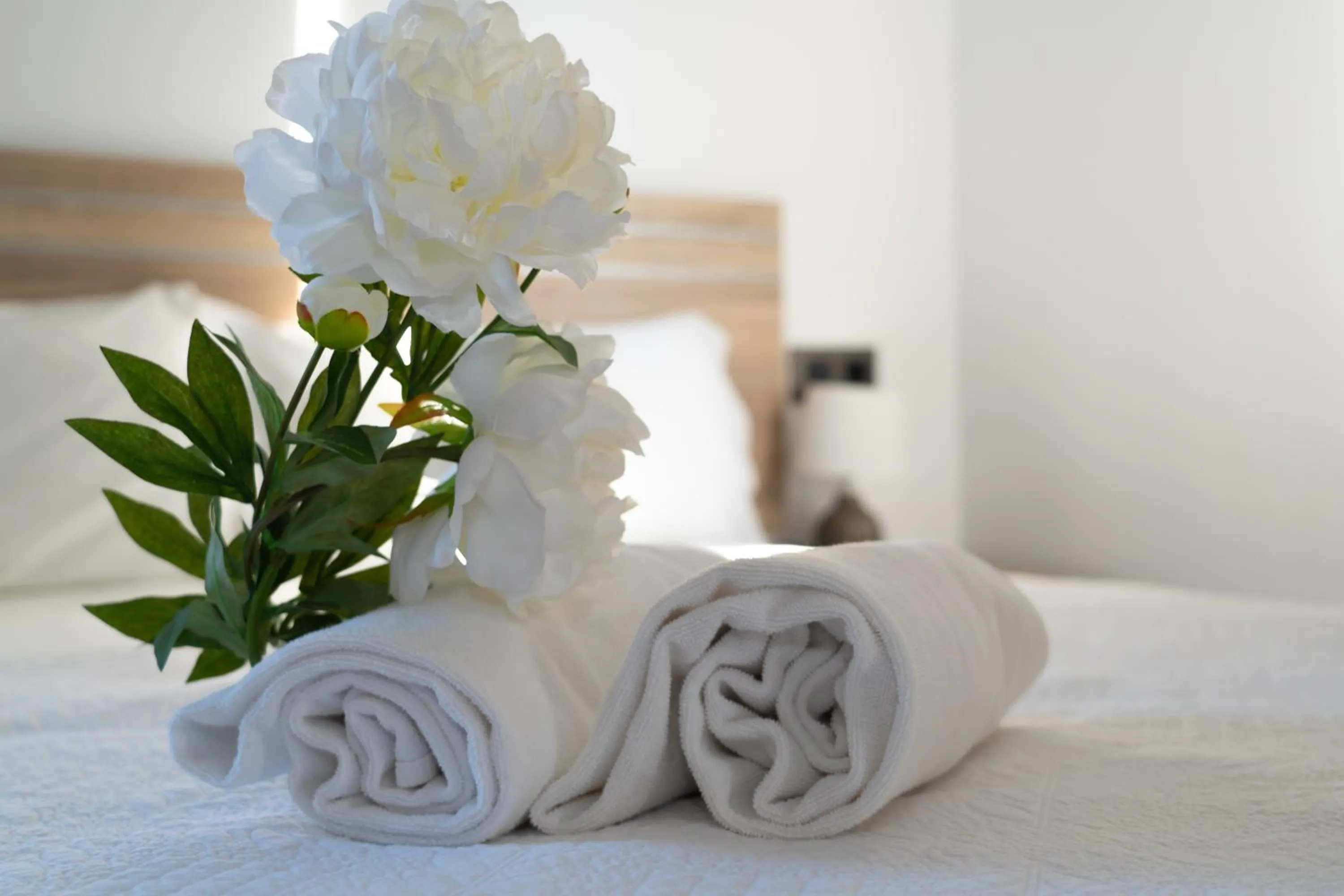 Bedroom, Bed in Hotel Novomar