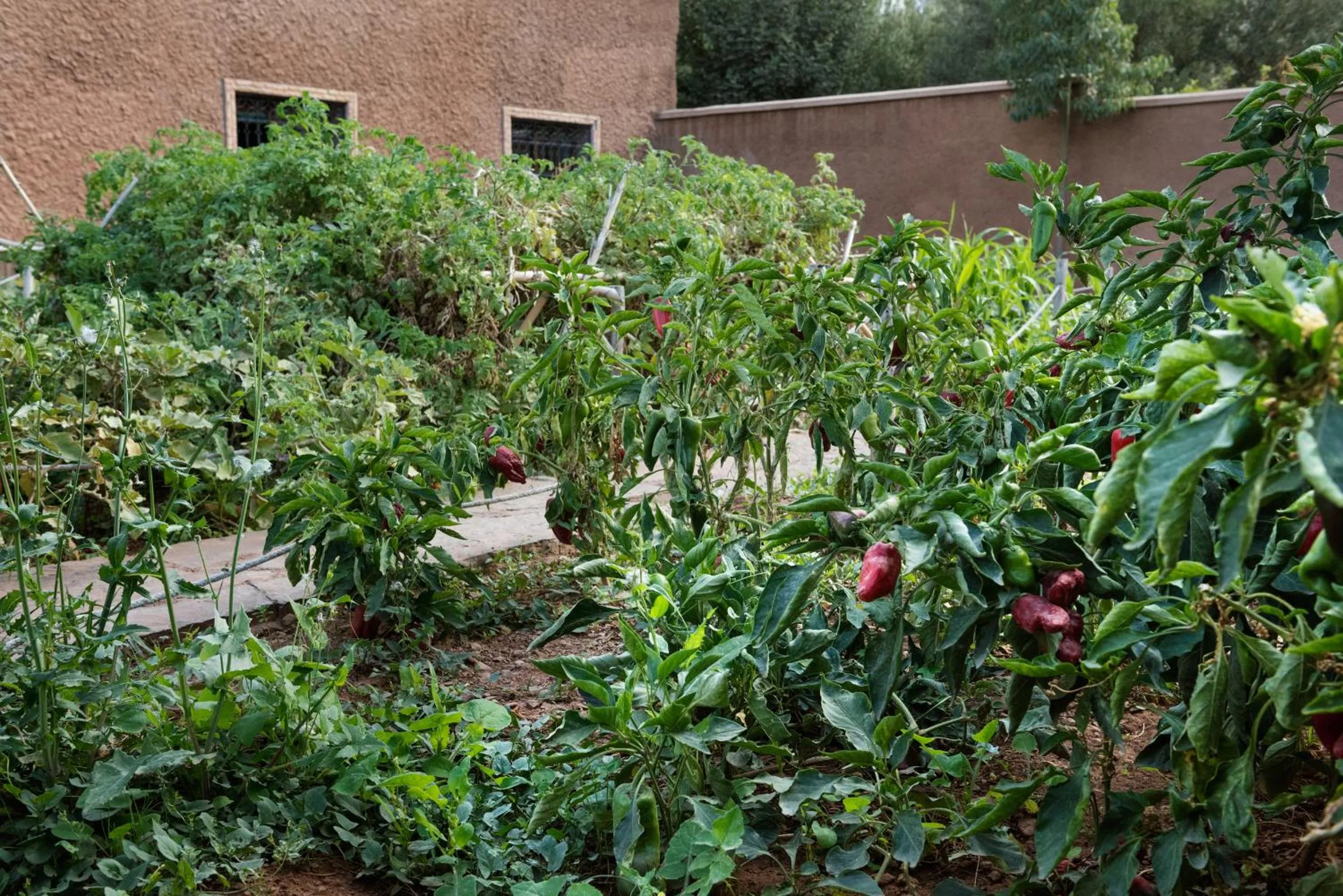 Floor plan in Ouirgane Ecolodge