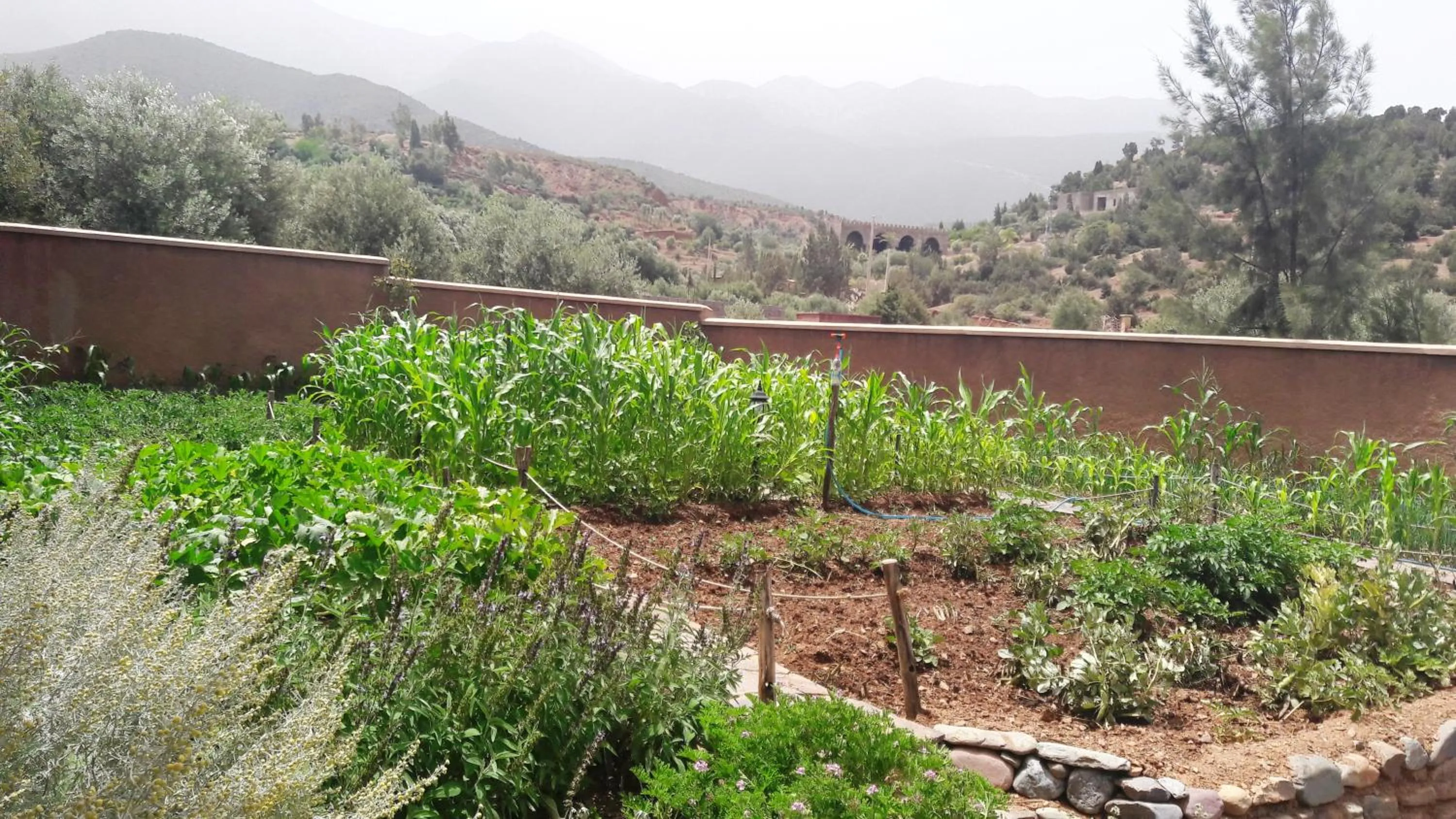 Garden in Ouirgane Ecolodge