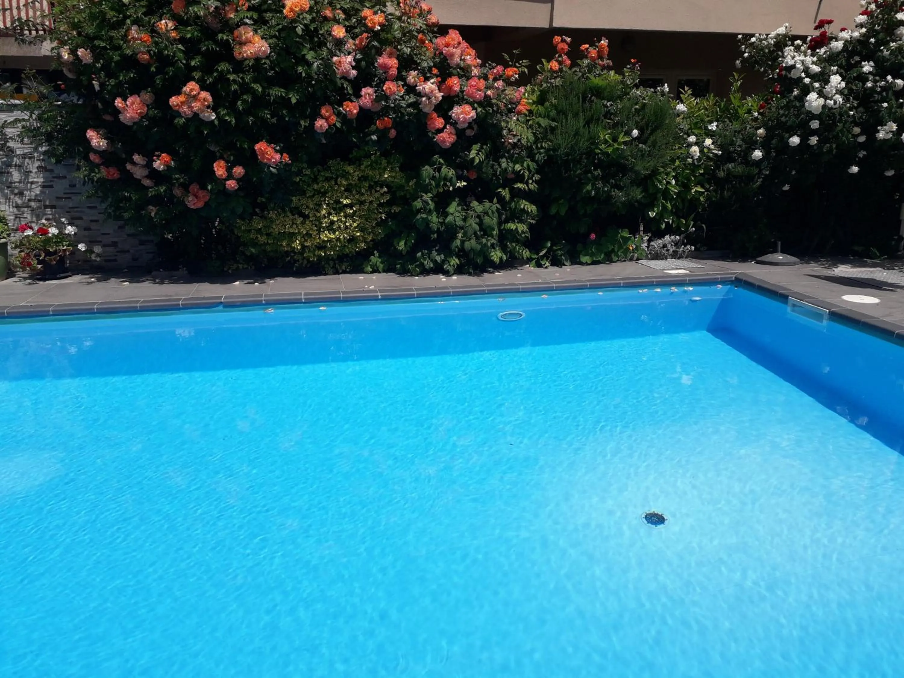 Swimming pool in Villa Jordan