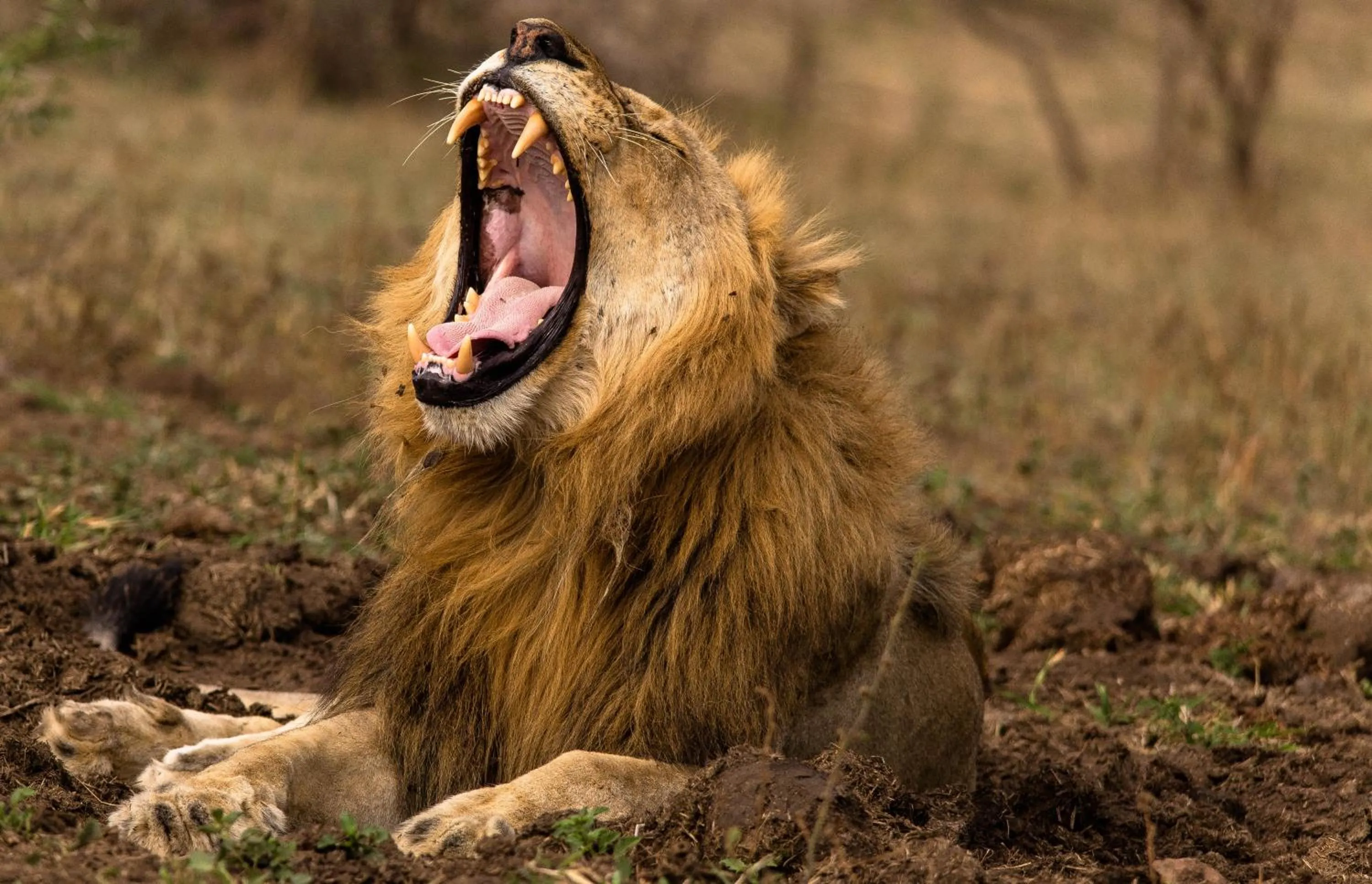 Off site in At Heritage House