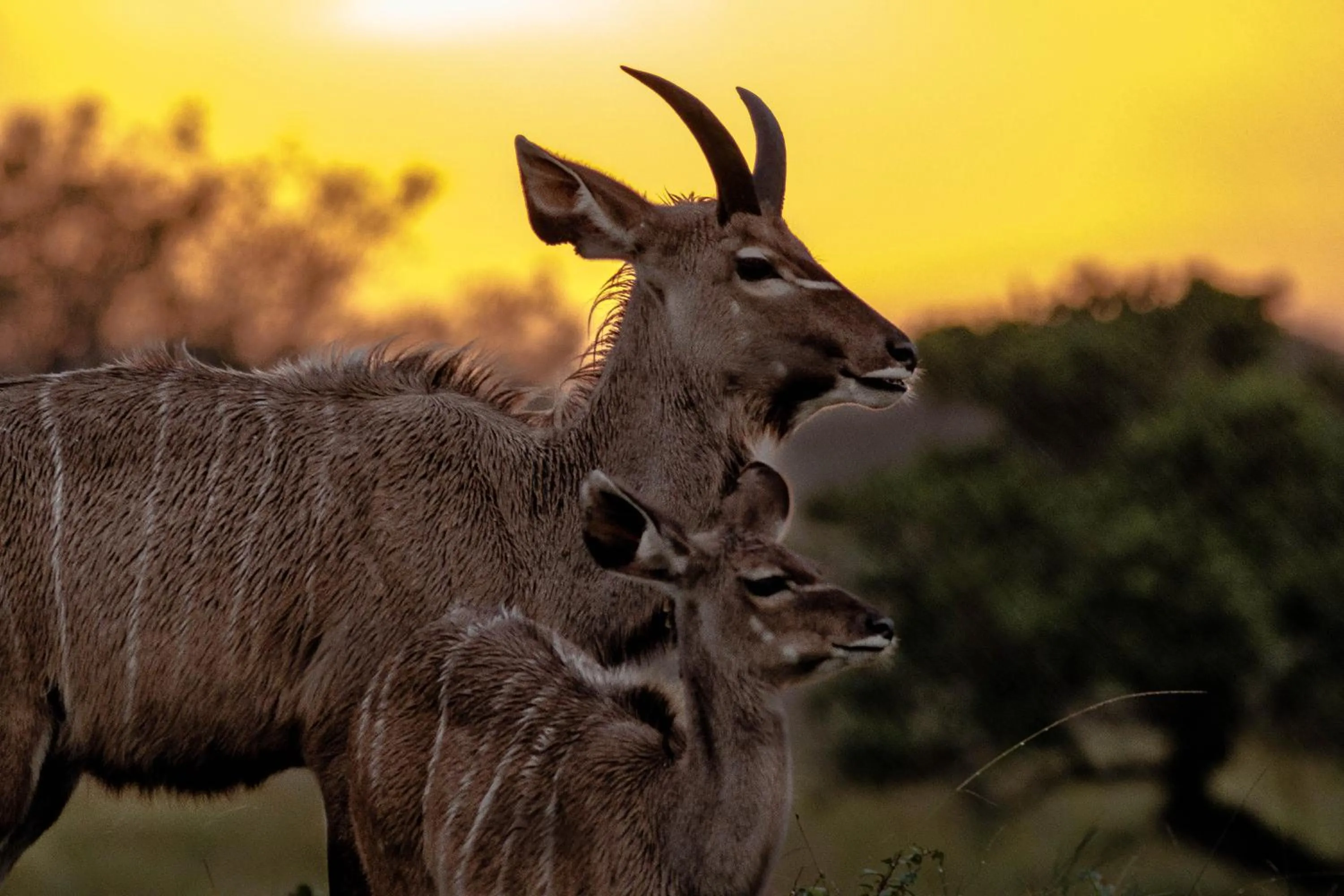 Nearby landmark in At Heritage House