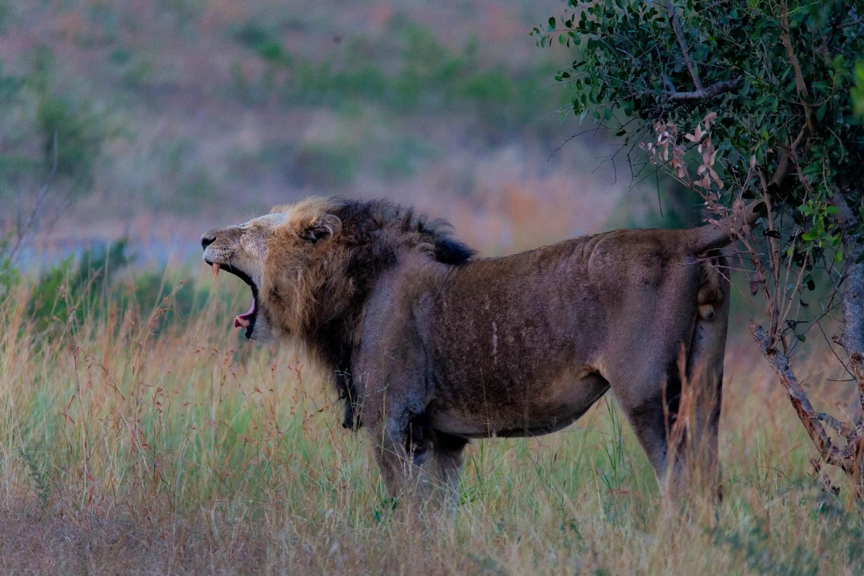 Off site in At Heritage House