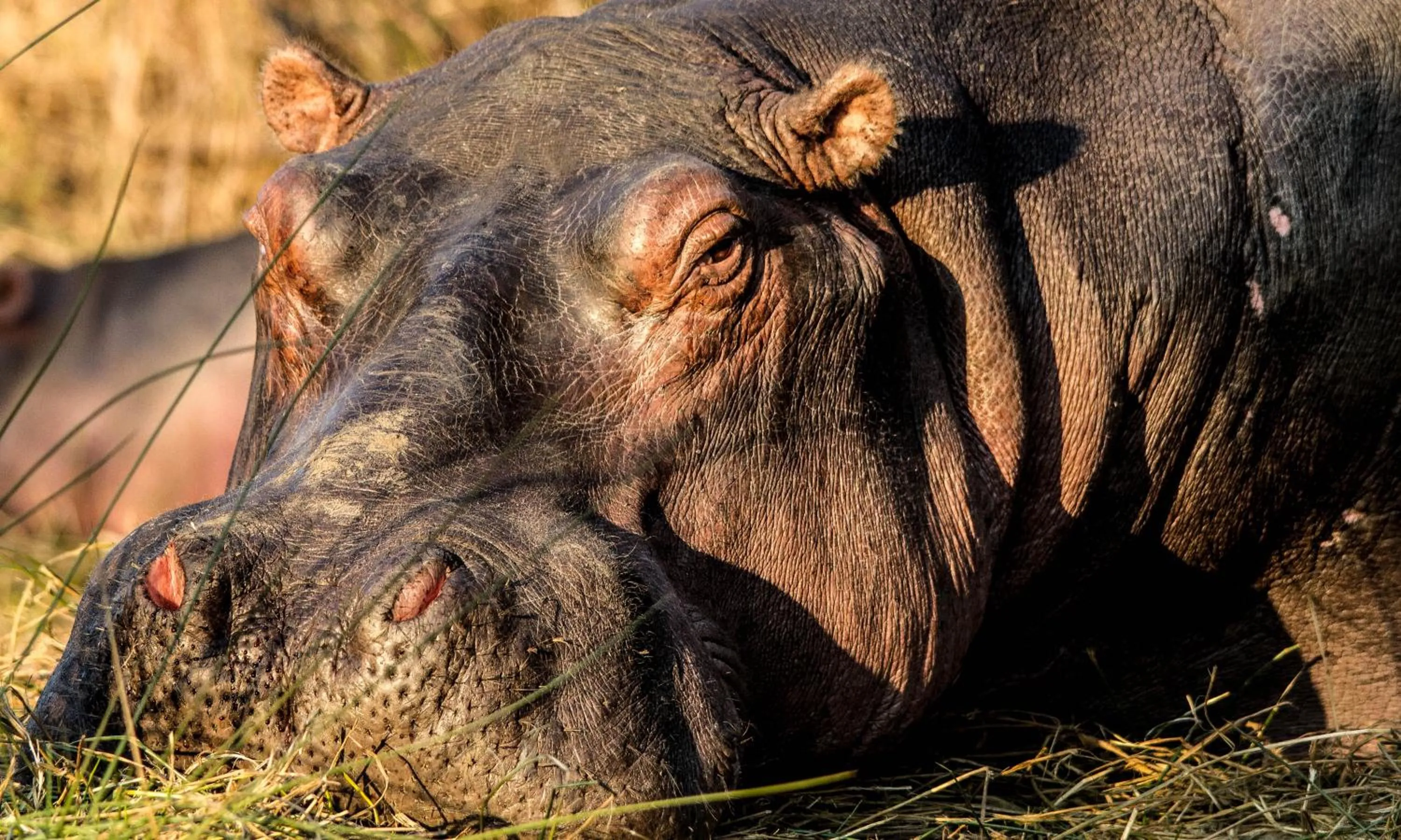 Off site in At Heritage House