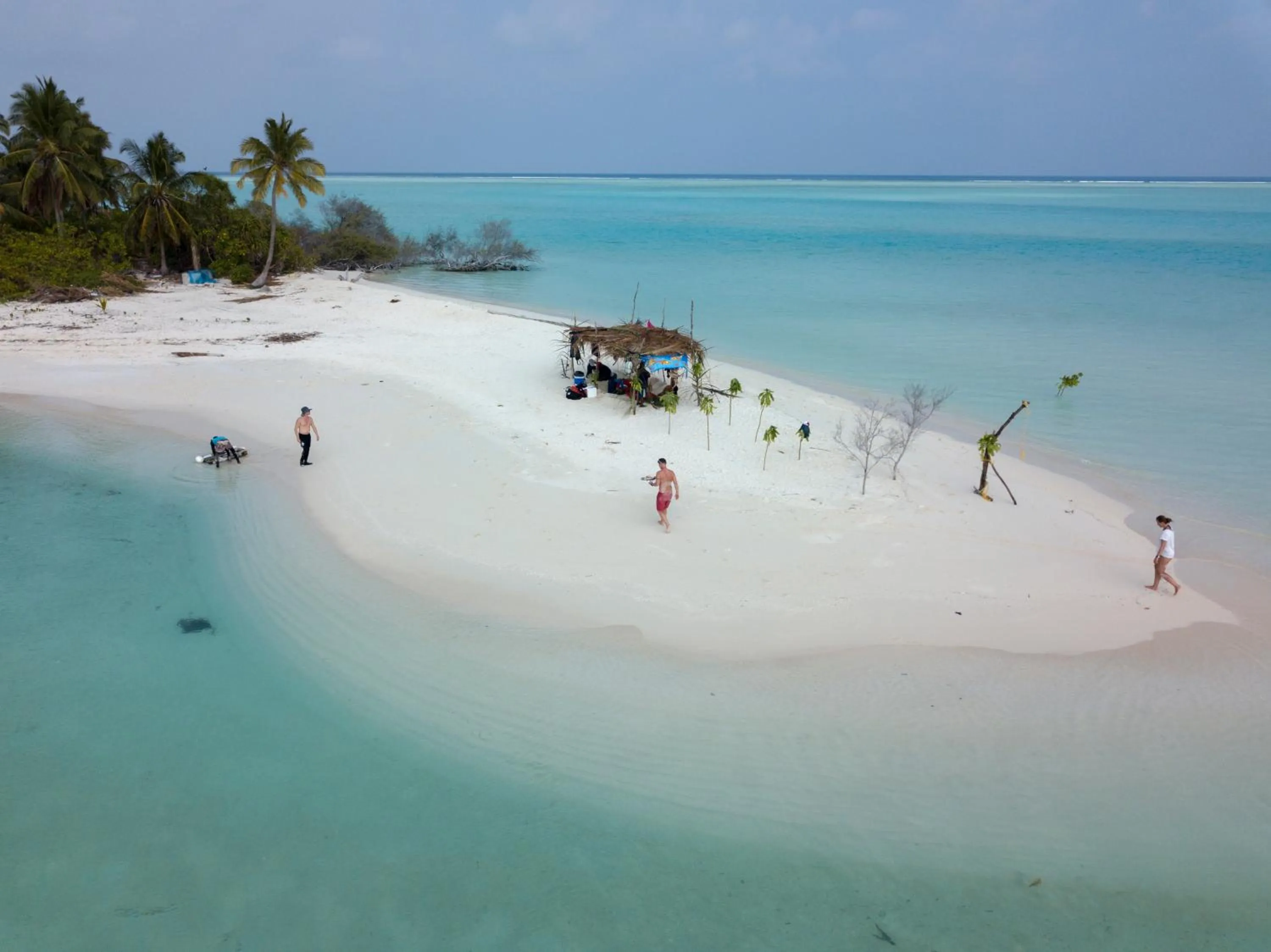 Activities in Masfalhi View Inn