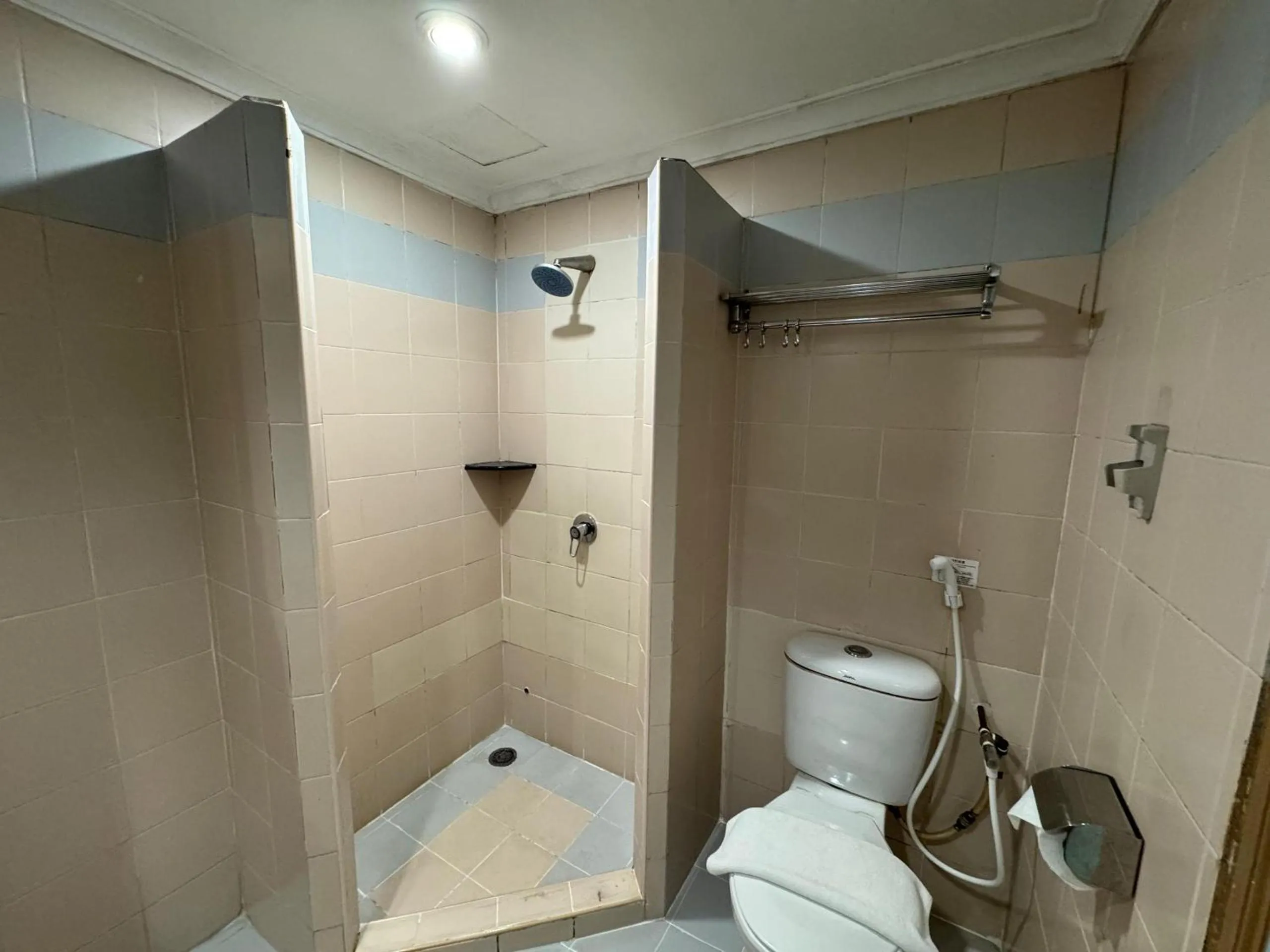 Shower in Hotel Deleeton