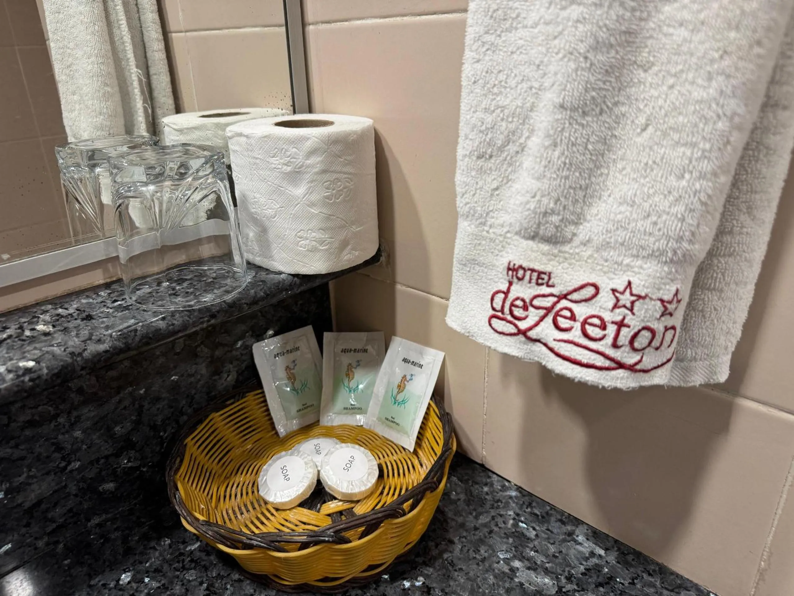 Bathroom in Hotel Deleeton