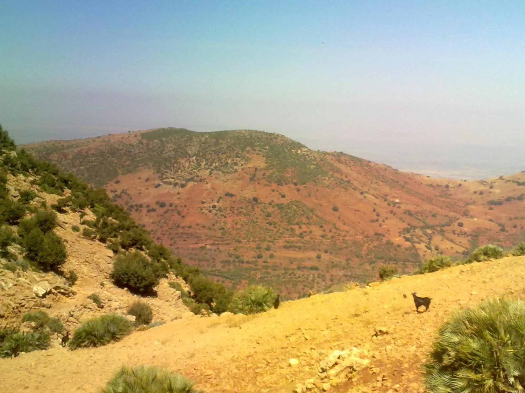 Day in Maison d'hotes Ait Bou Izryane