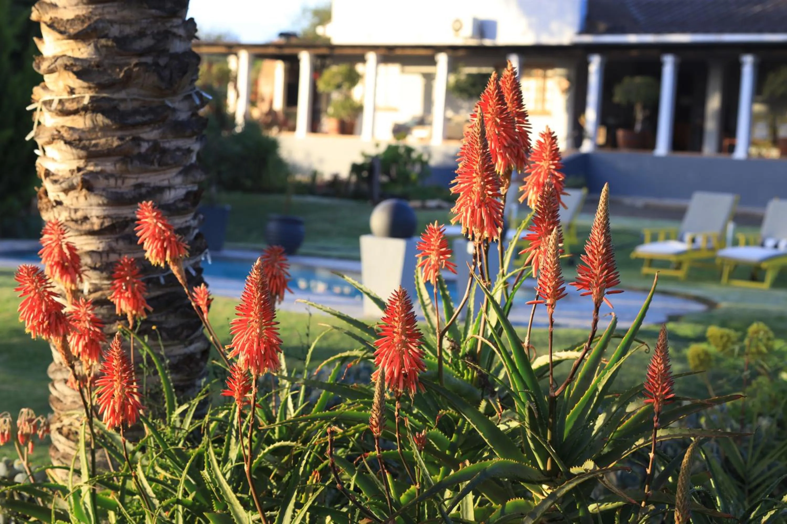 Day in Thylitshia Villa Country Guest House