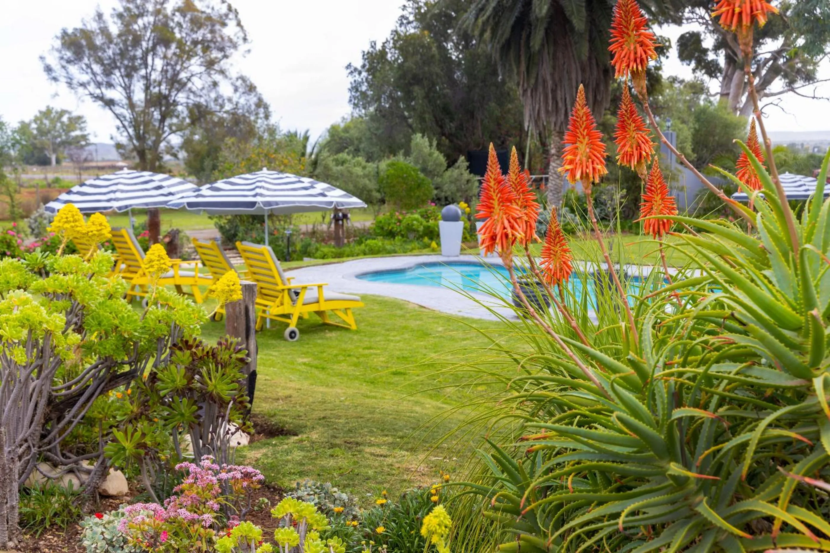 Natural landscape in Thylitshia Villa Country Guest House