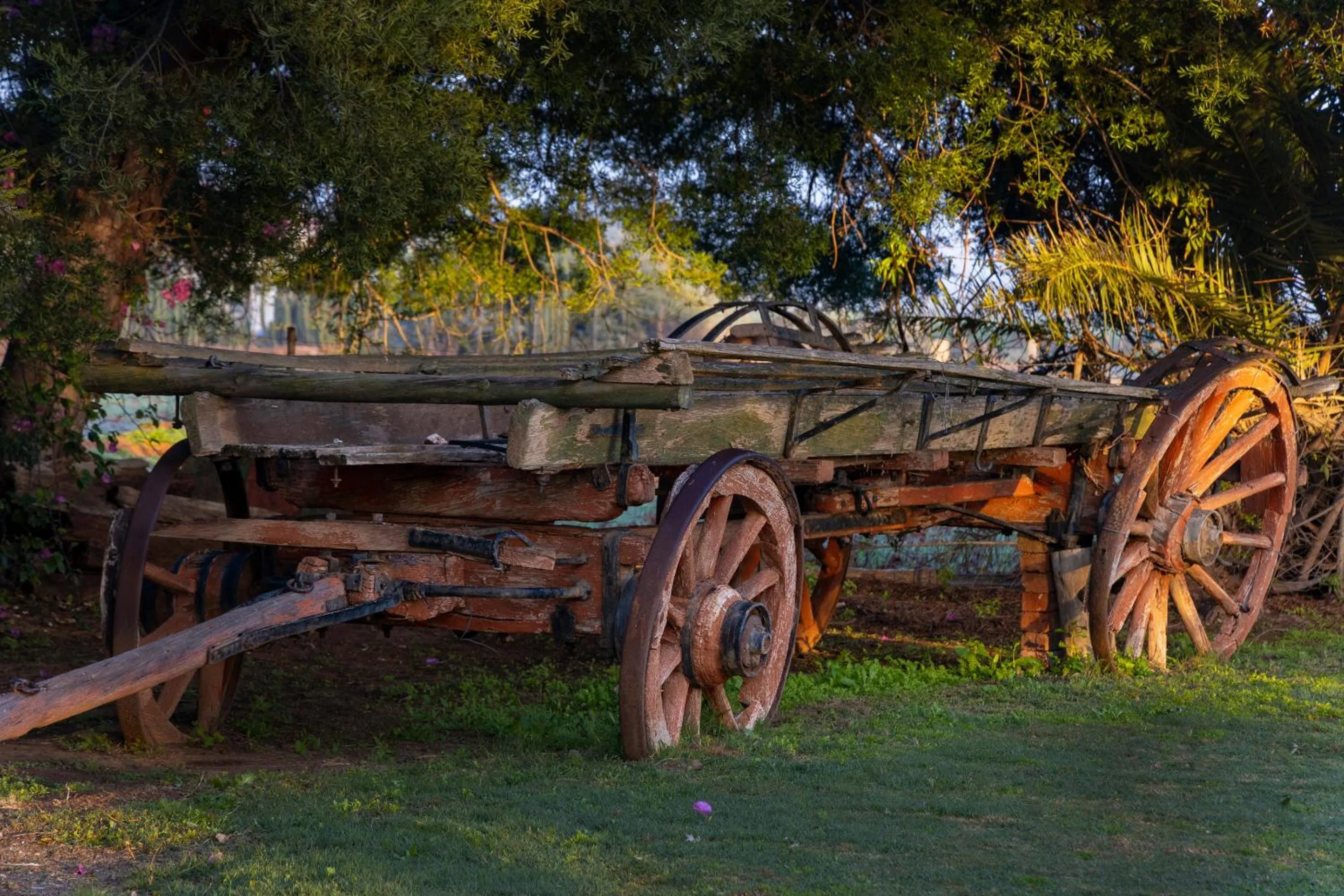 Garden in Thylitshia Villa Country Guest House