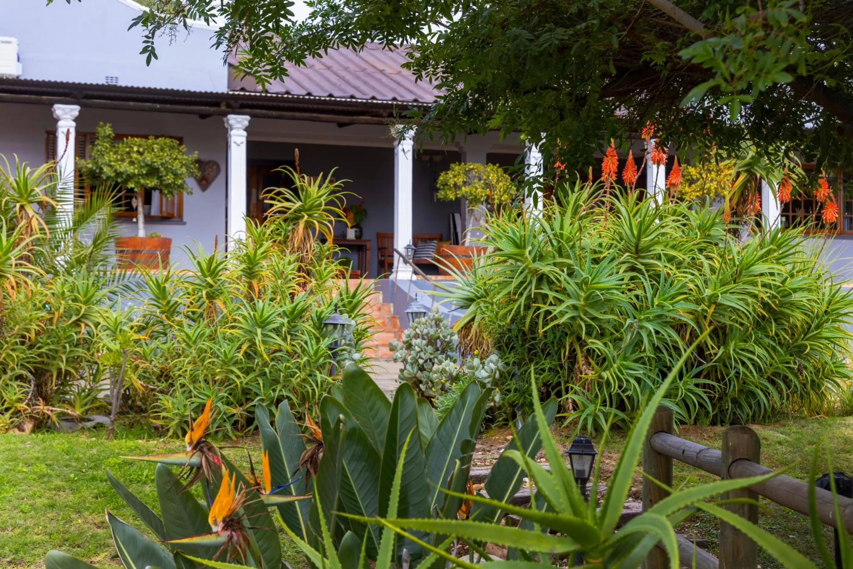 Garden in Thylitshia Villa Country Guest House