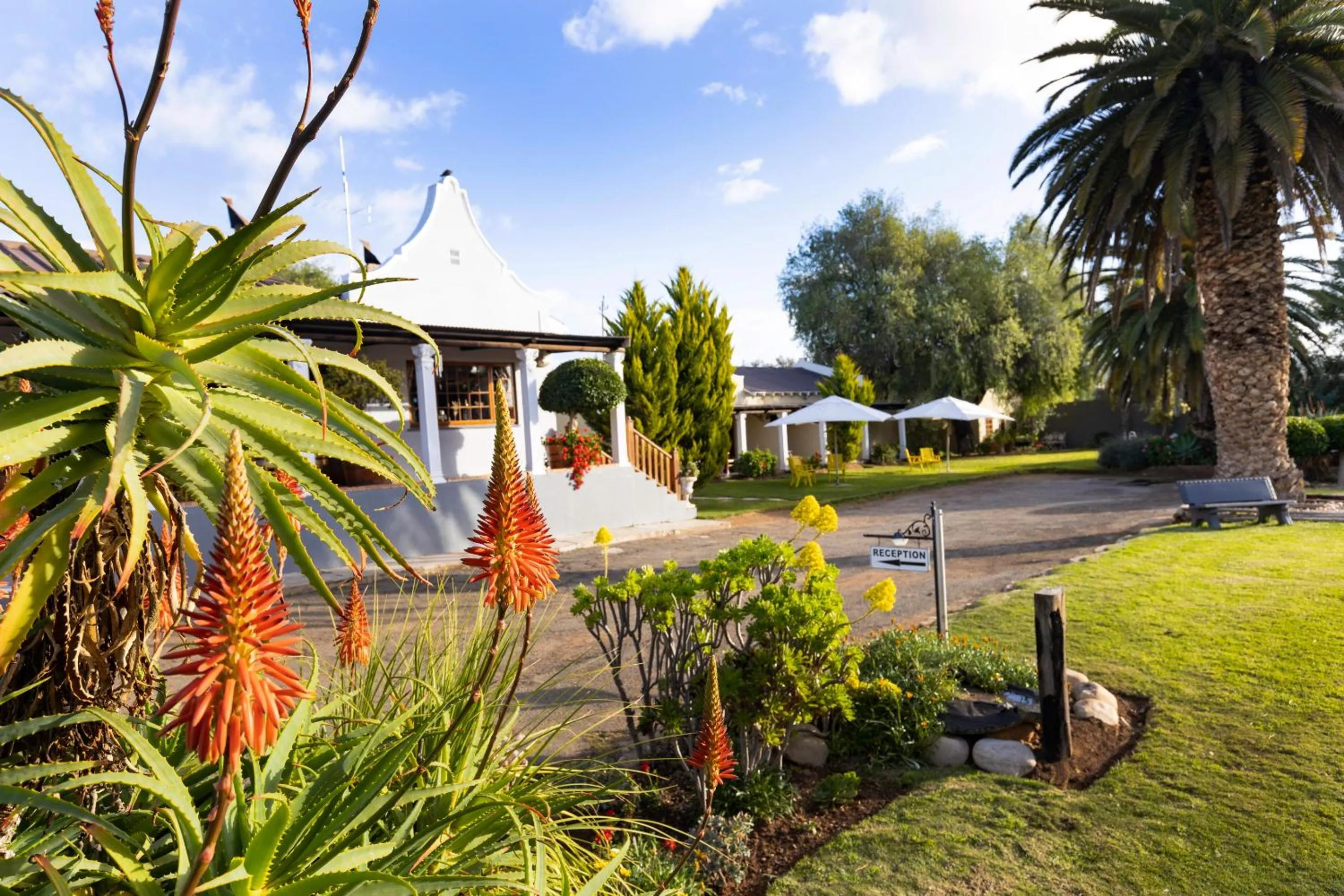 Natural landscape in Thylitshia Villa Country Guest House