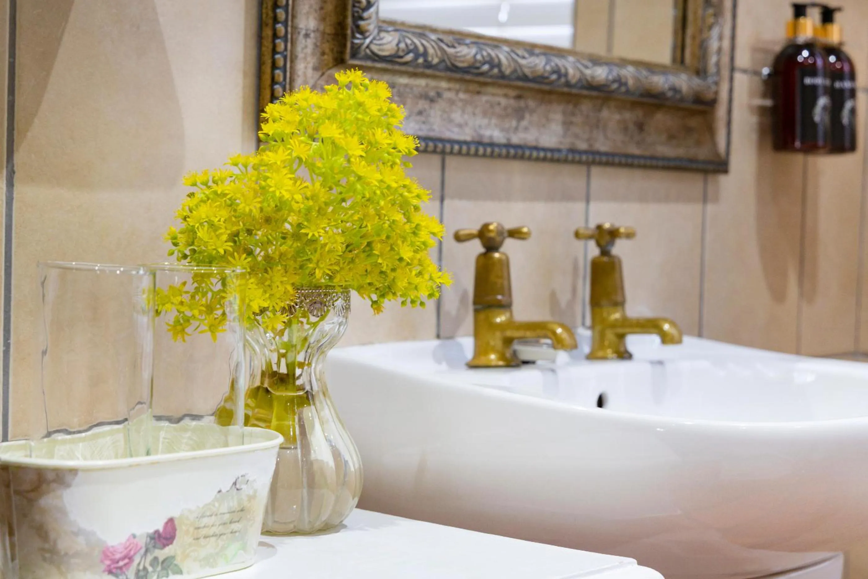 Bathroom in Thylitshia Villa Country Guest House