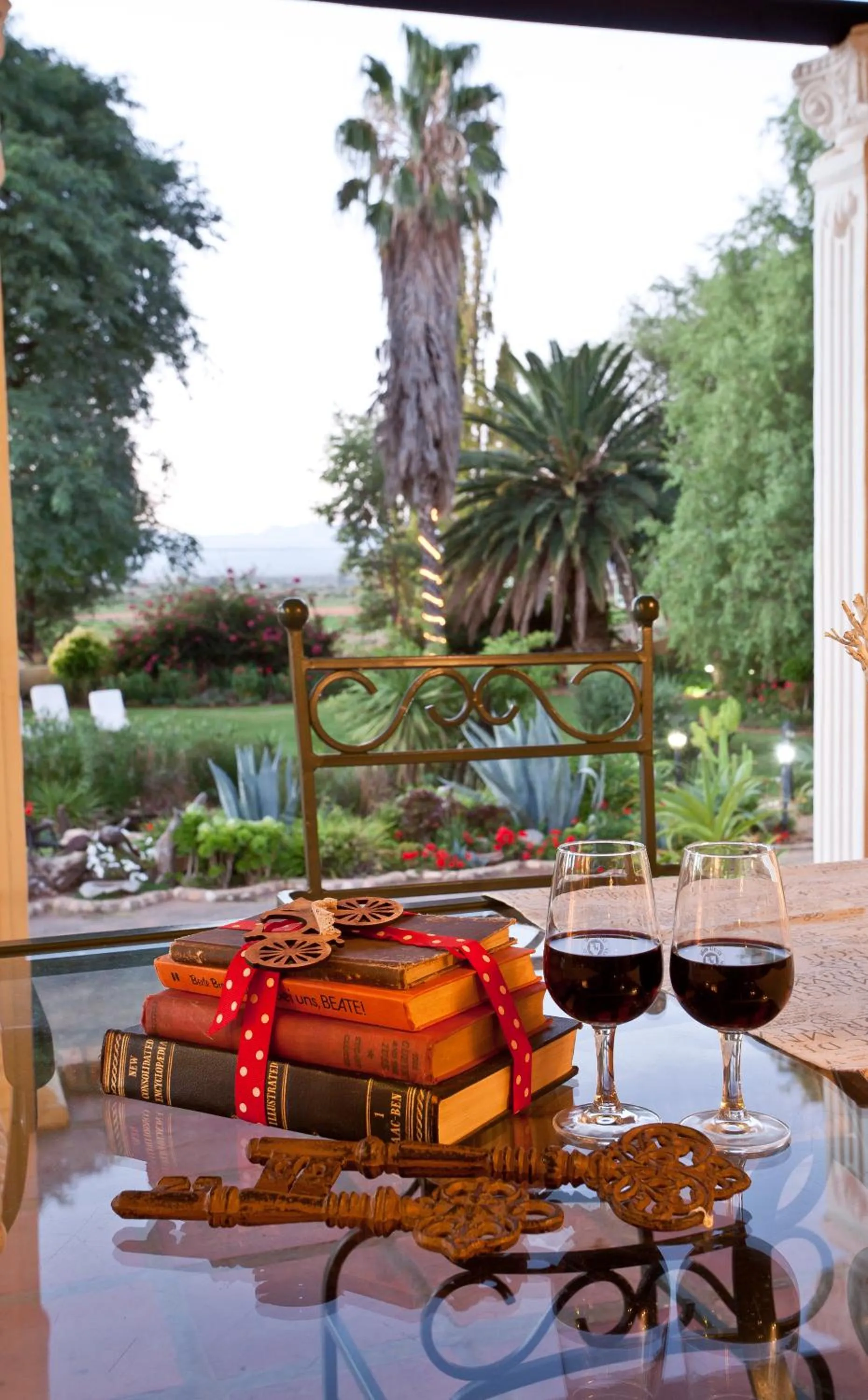Patio in Thylitshia Villa Country Guest House
