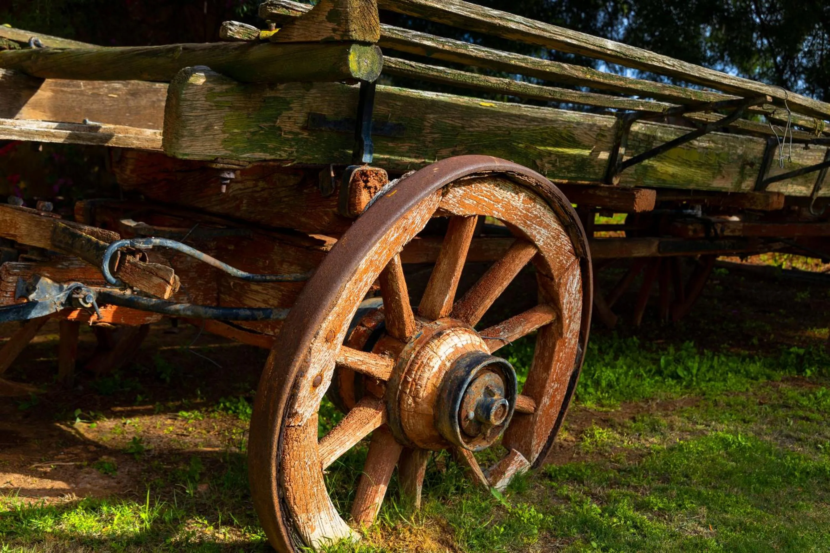 Day in Thylitshia Villa Country Guest House