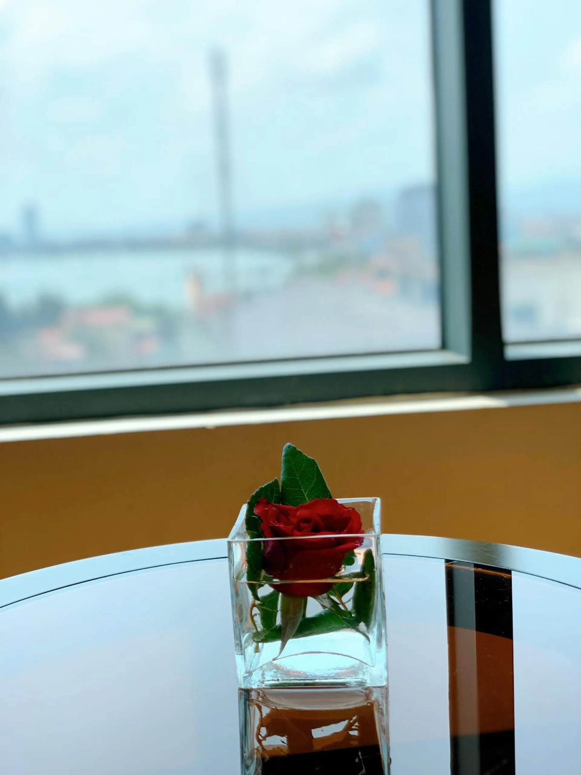 Day in Muong Thanh Luxury Nhat Le Hotel