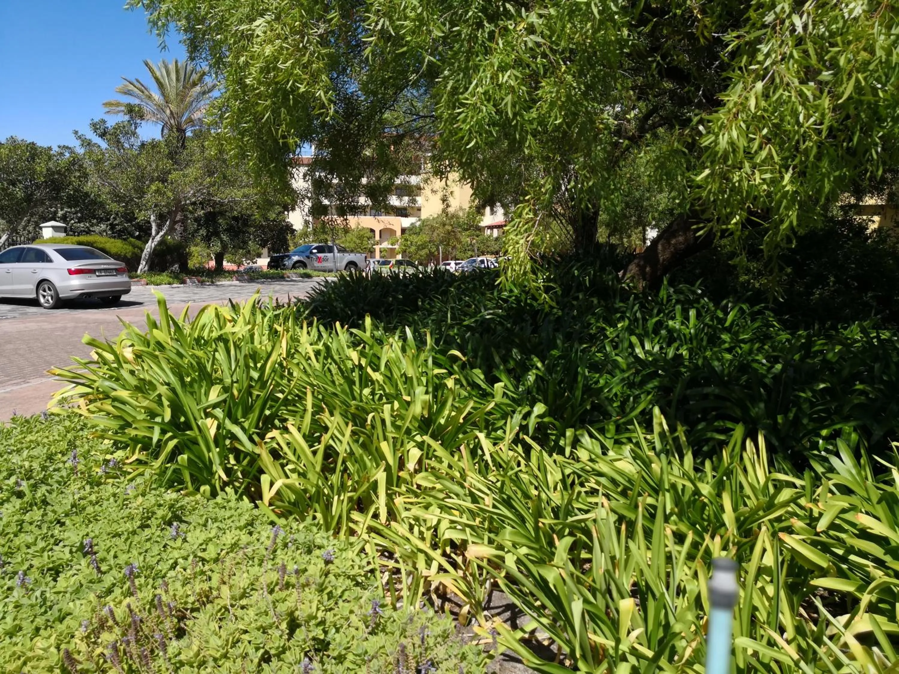 Day in Majorca Apartments by BON Hotels