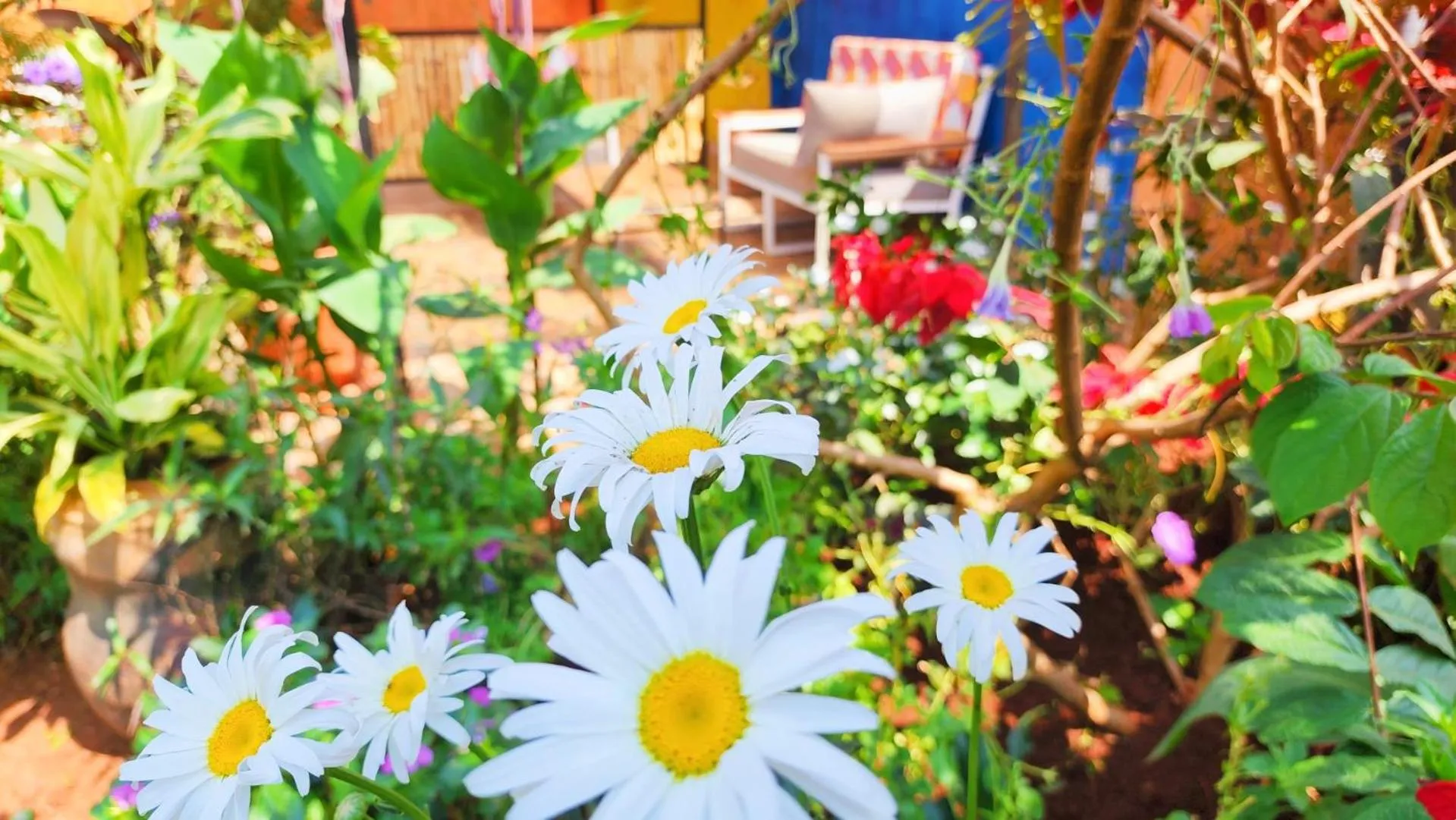 Patio in Yambi Guesthouse