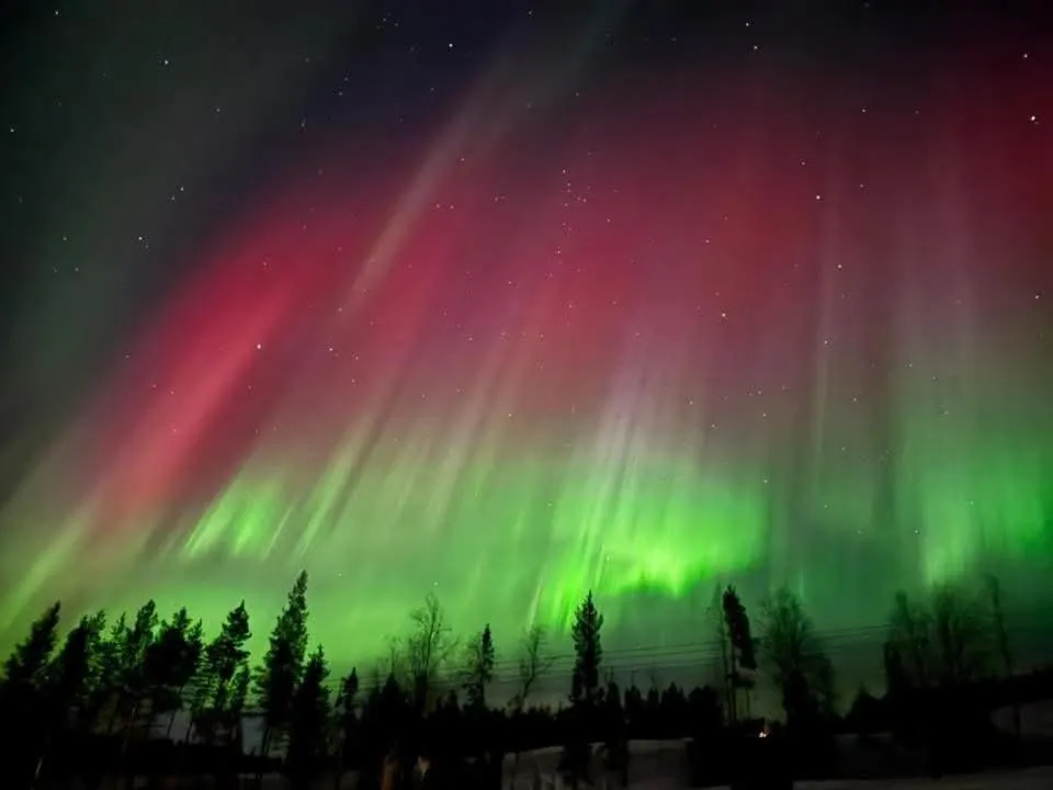 Natural landscape in Hotelli Suomutunturi