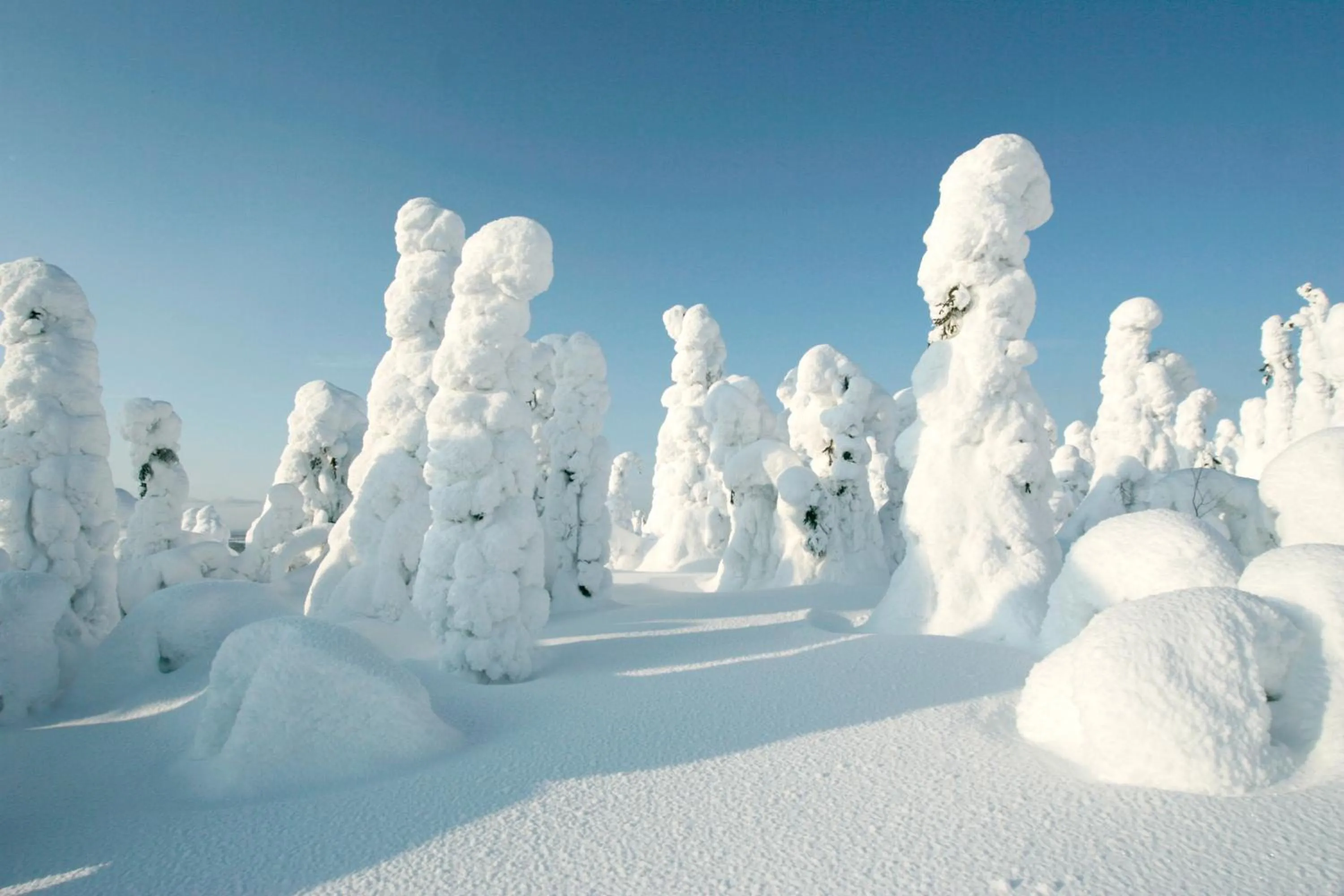 Natural landscape in Hotelli Suomutunturi