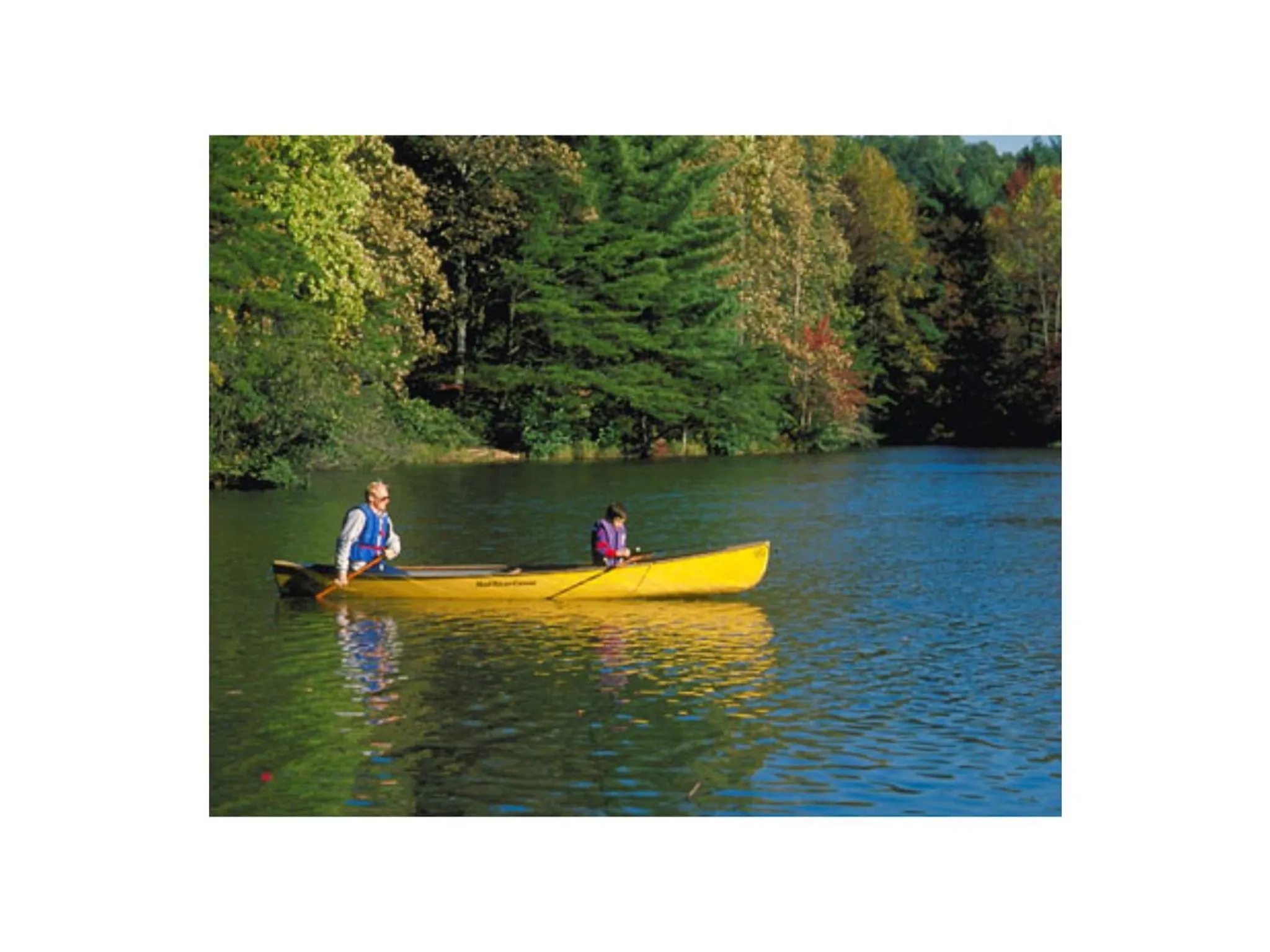 Natural landscape in Ambrose Mews B&B