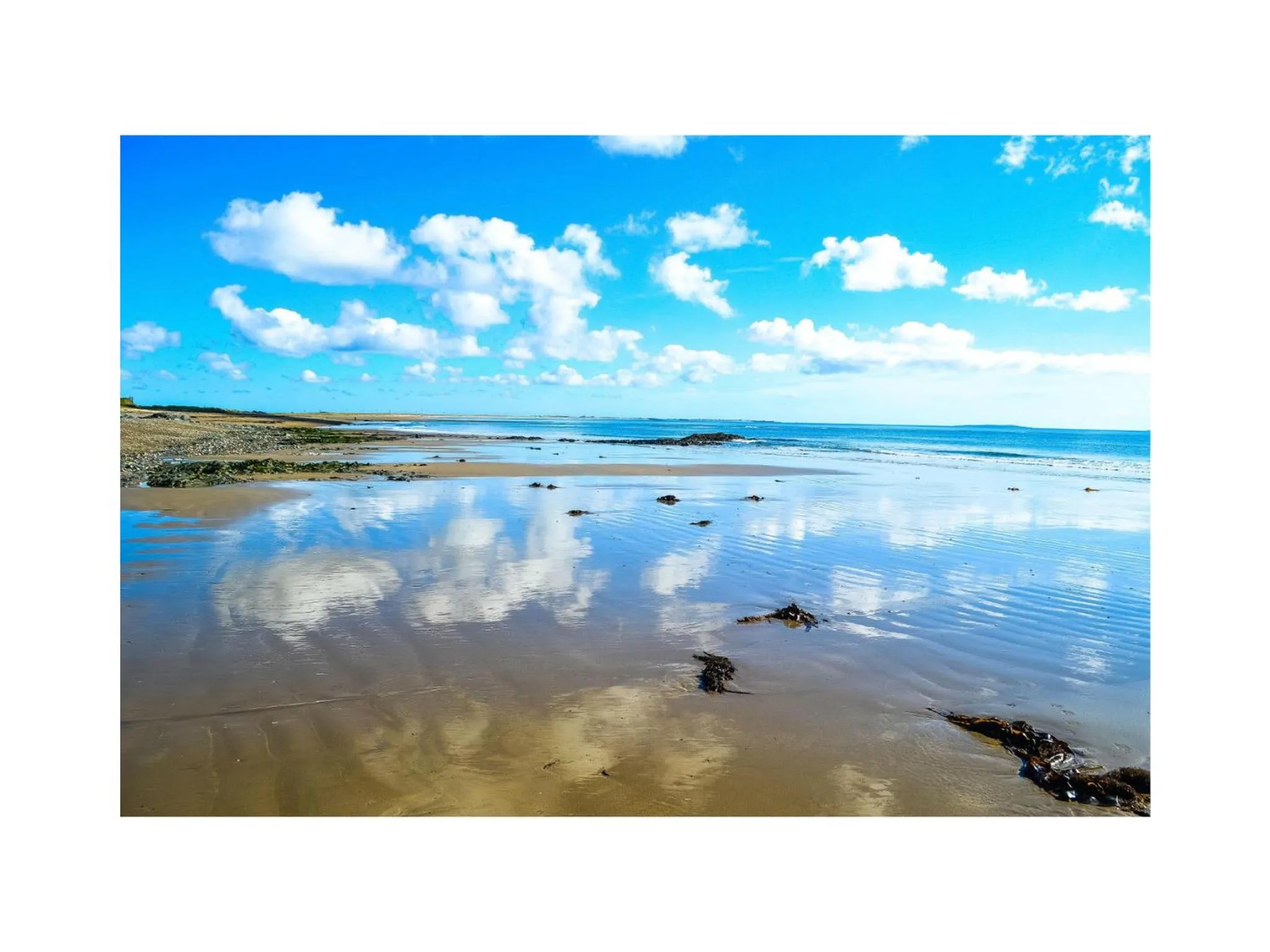 Natural landscape in Ambrose Mews B&B