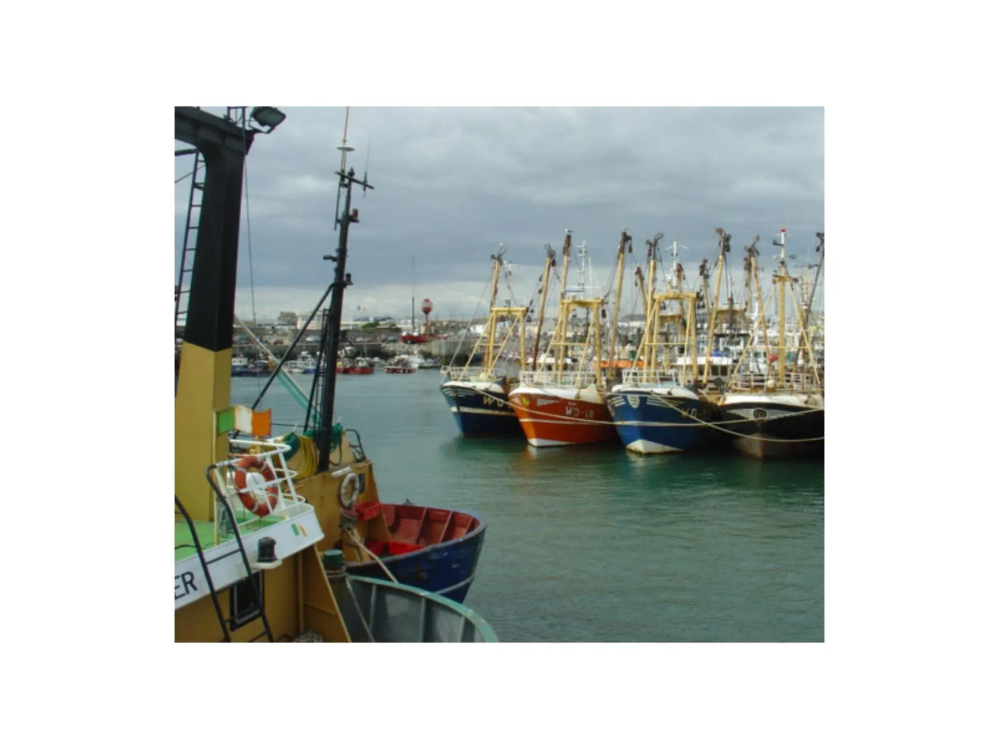 Fishing in Ambrose Mews B&B