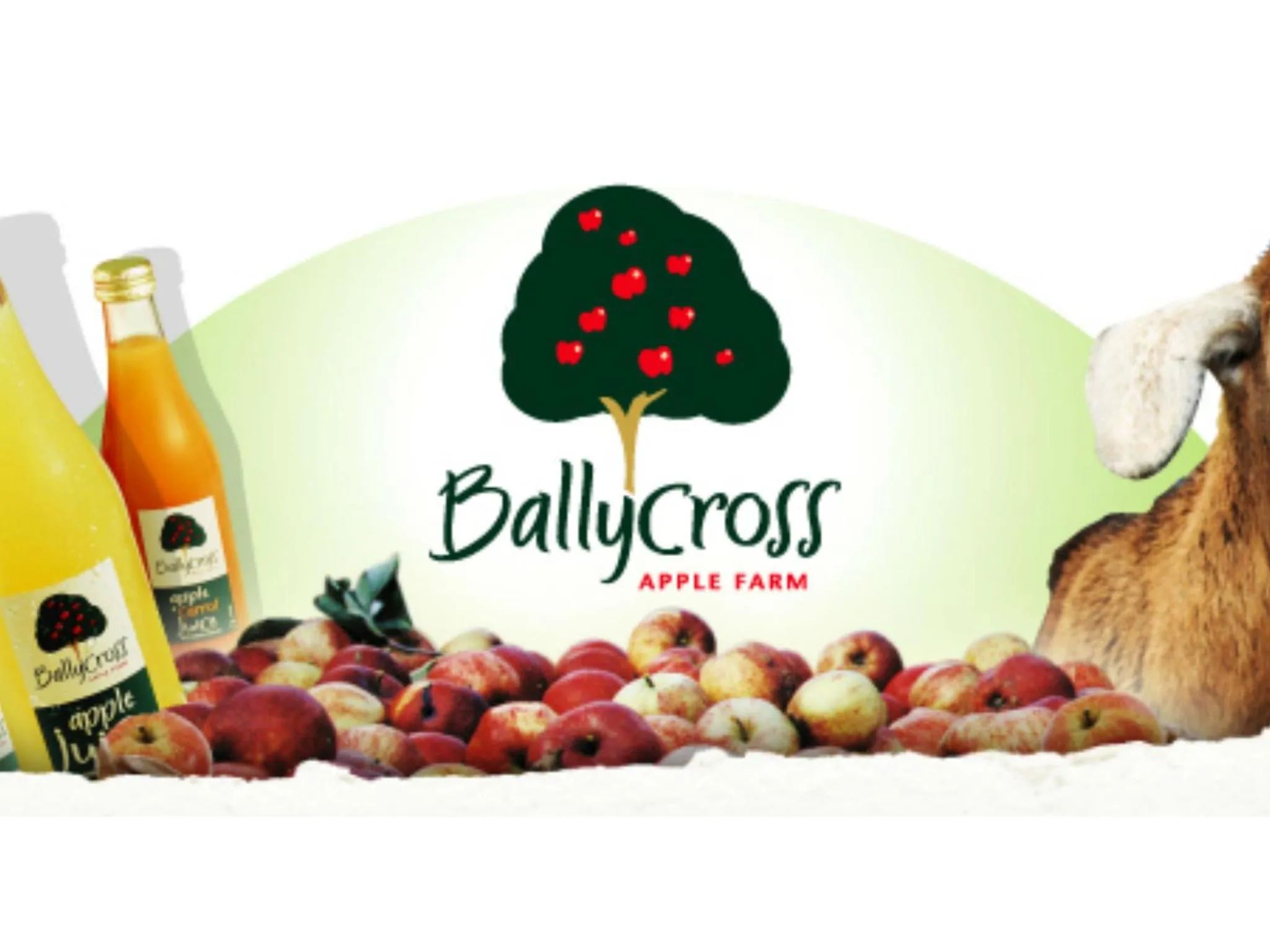 Entertainment in Ambrose Mews B&B