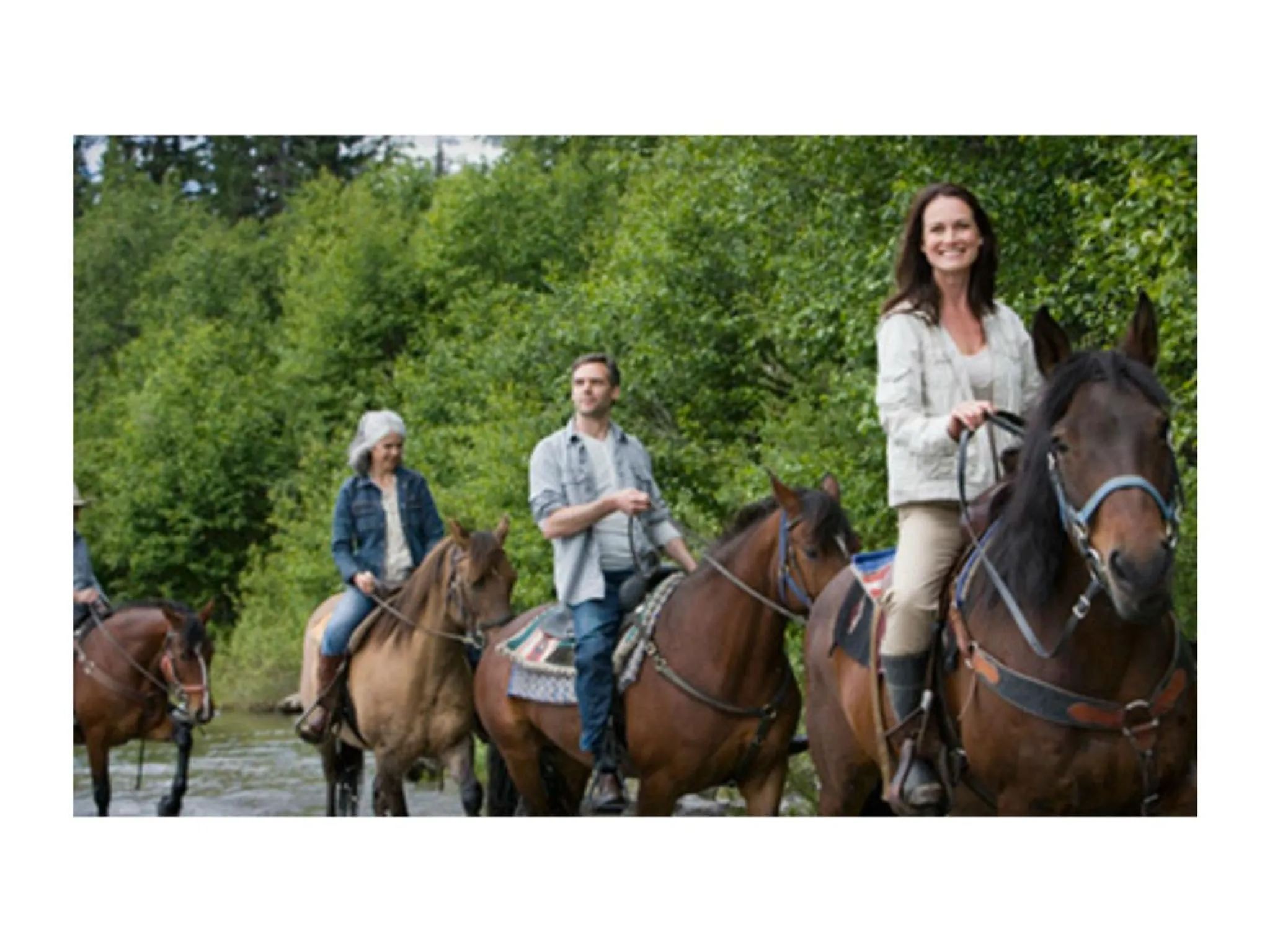 Horse-riding in Ambrose Mews B&B