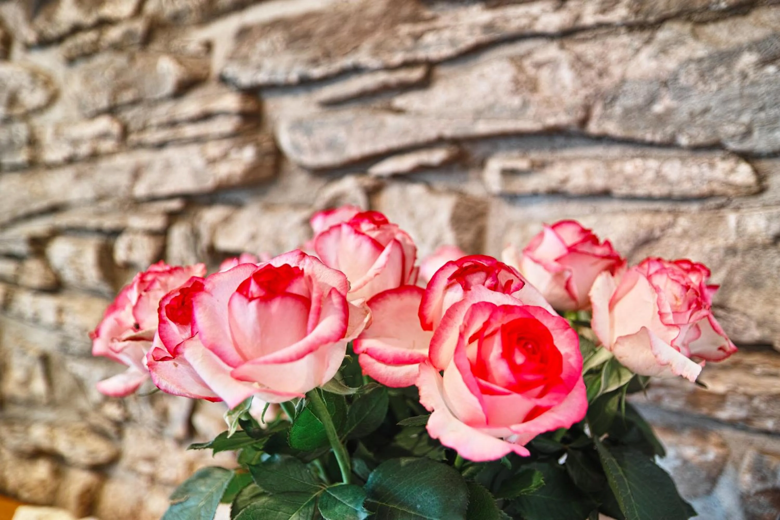 Lobby or reception in Kragemann Hotel & Vinothek