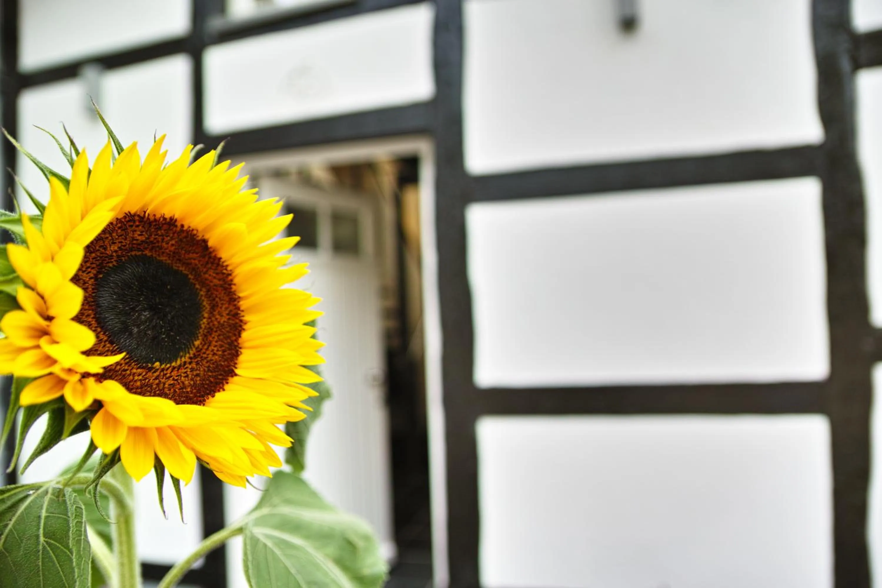 Property building in Kragemann Hotel & Vinothek