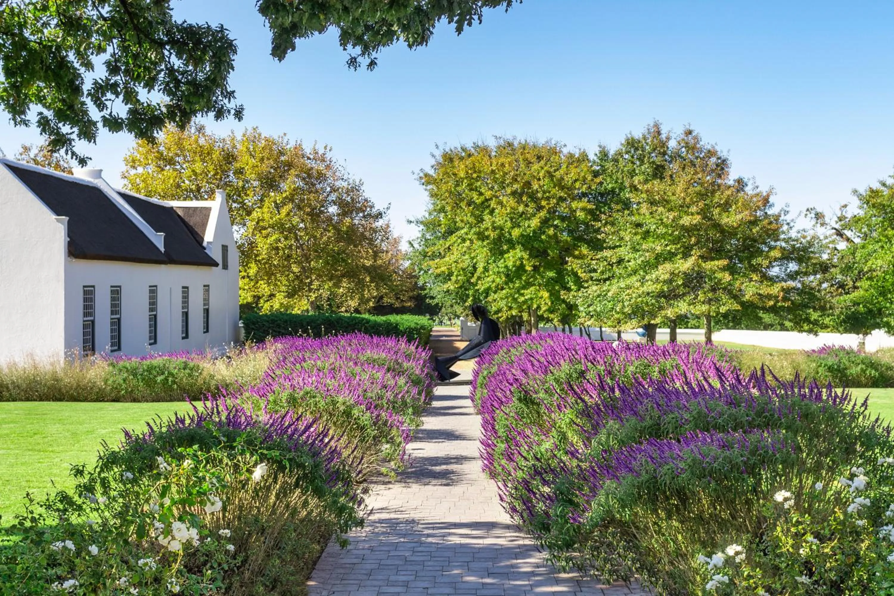 Garden in Steenberg Hotel & Spa