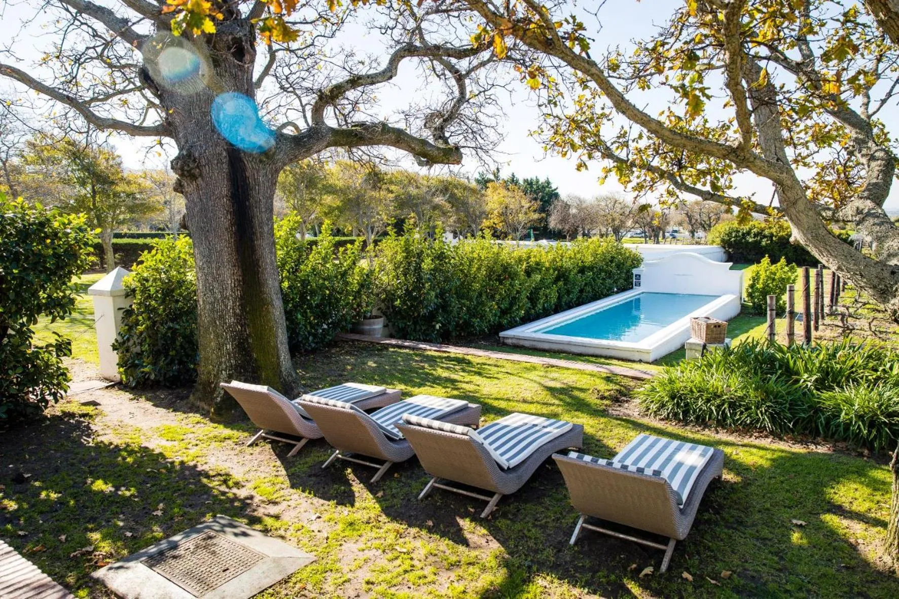 Garden view in Steenberg Hotel & Spa