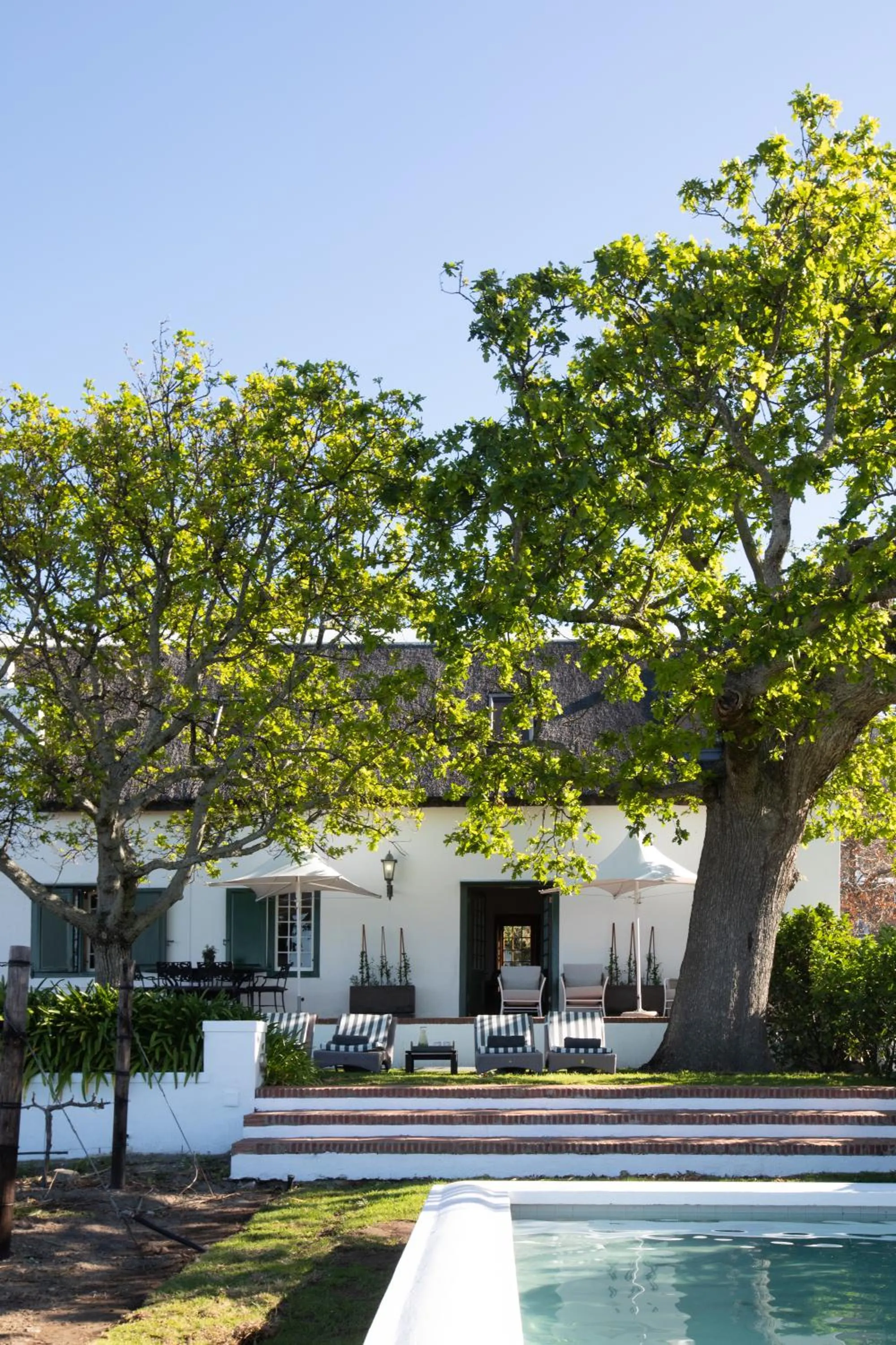 Balcony/Terrace in Steenberg Hotel & Spa