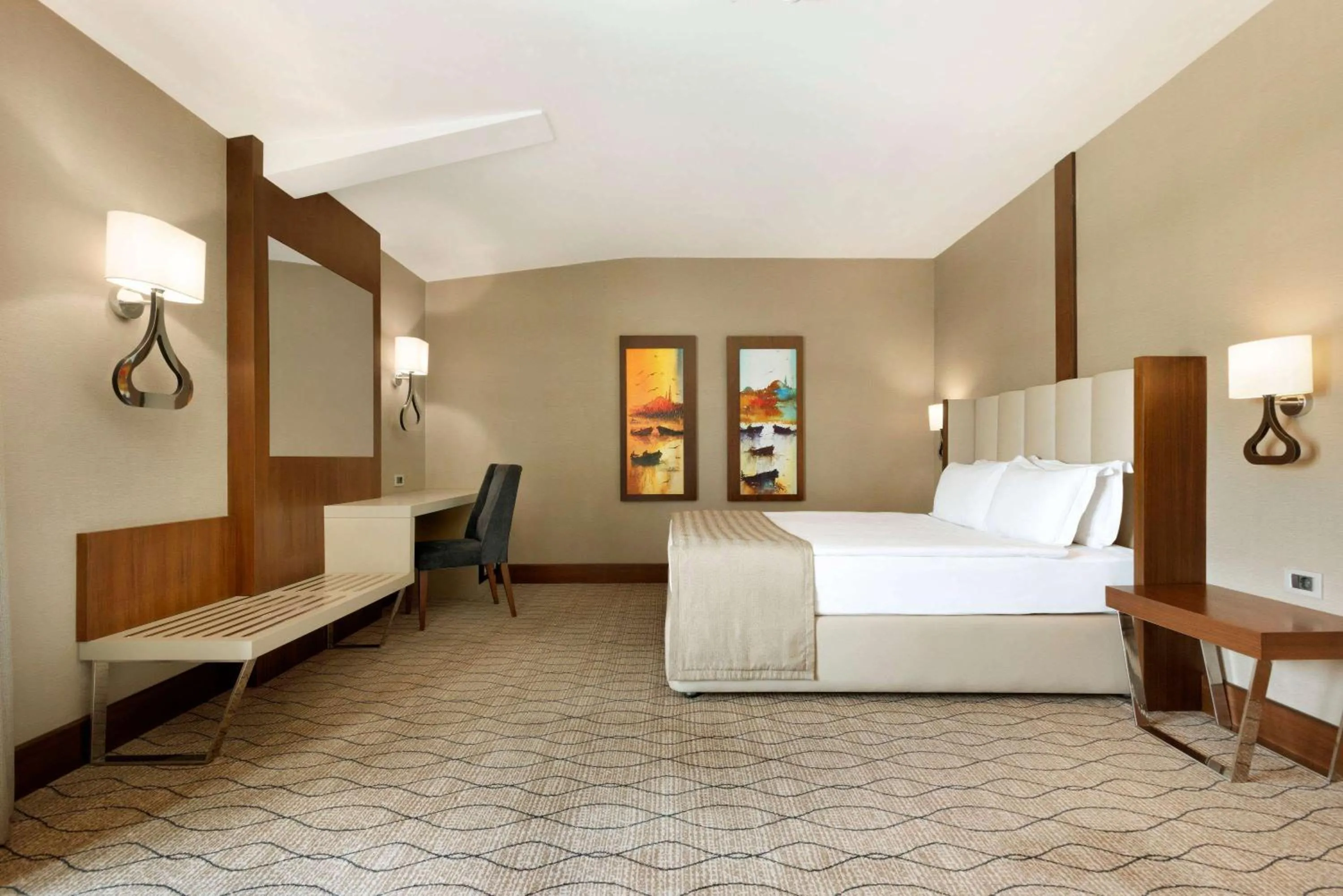 Photo of the whole room in Ramada by Wyndham Sakarya Hotel