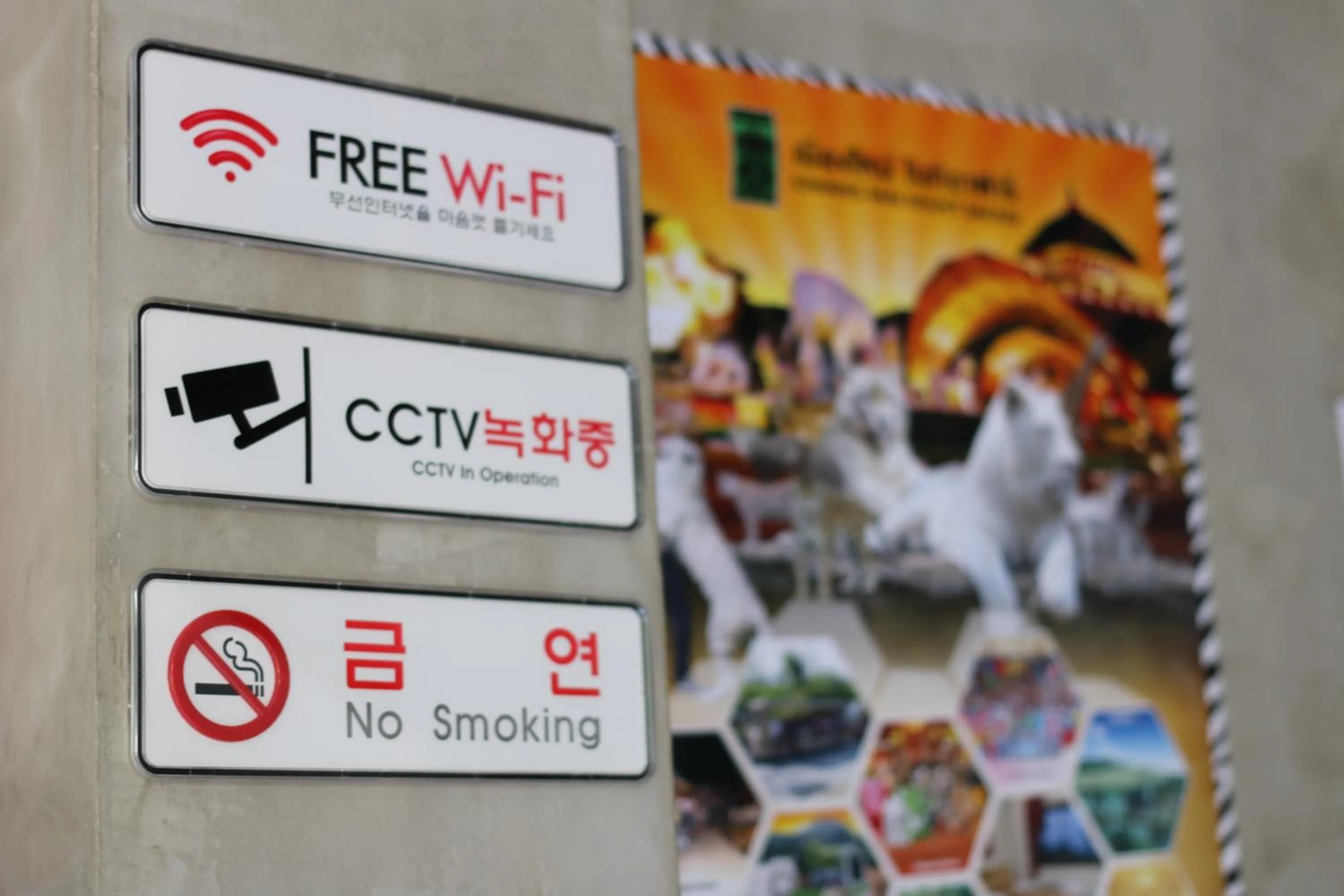 Logo/Certificate/Sign in The Ghee House