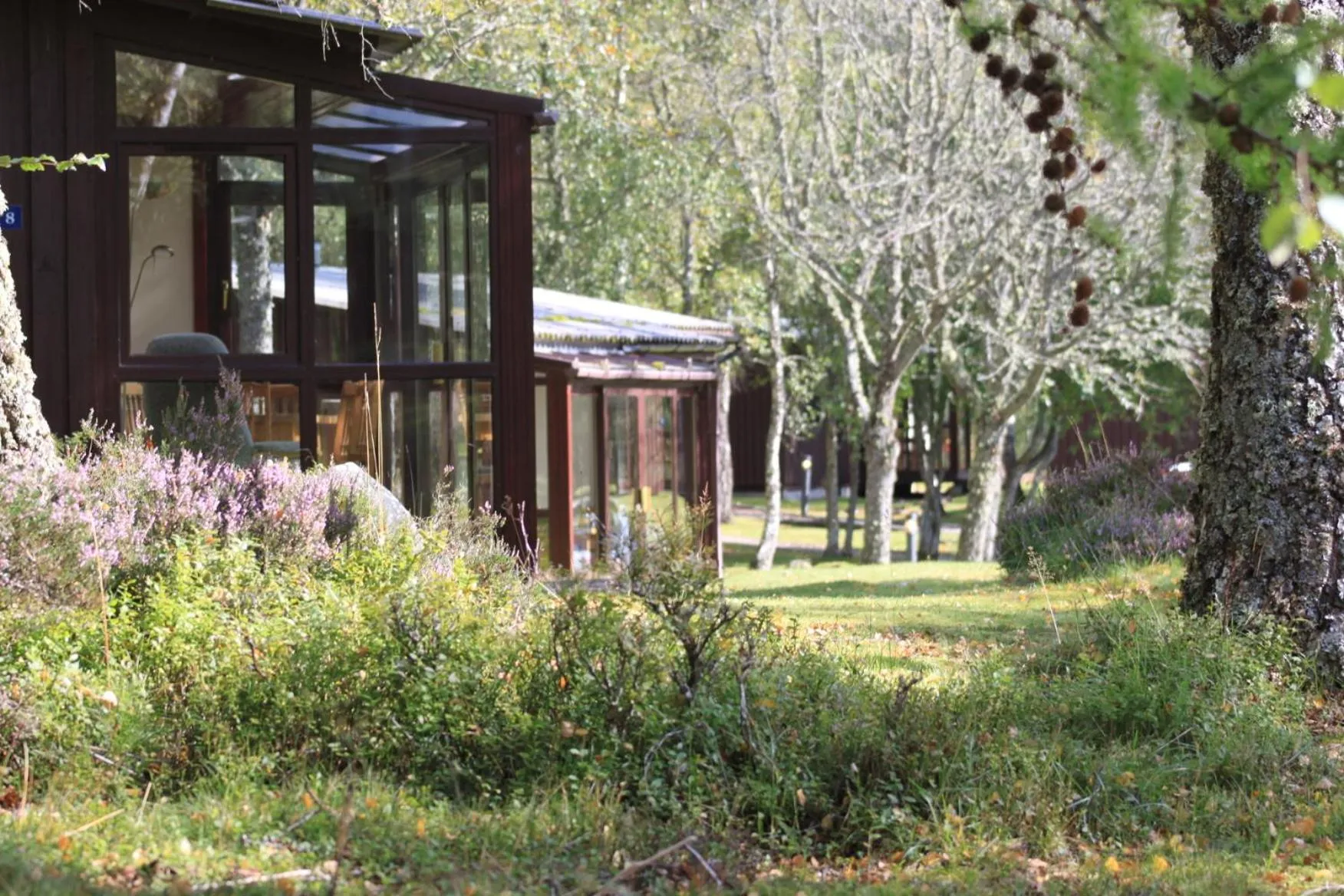 Patio in Macdonald Lochanhully Resort
