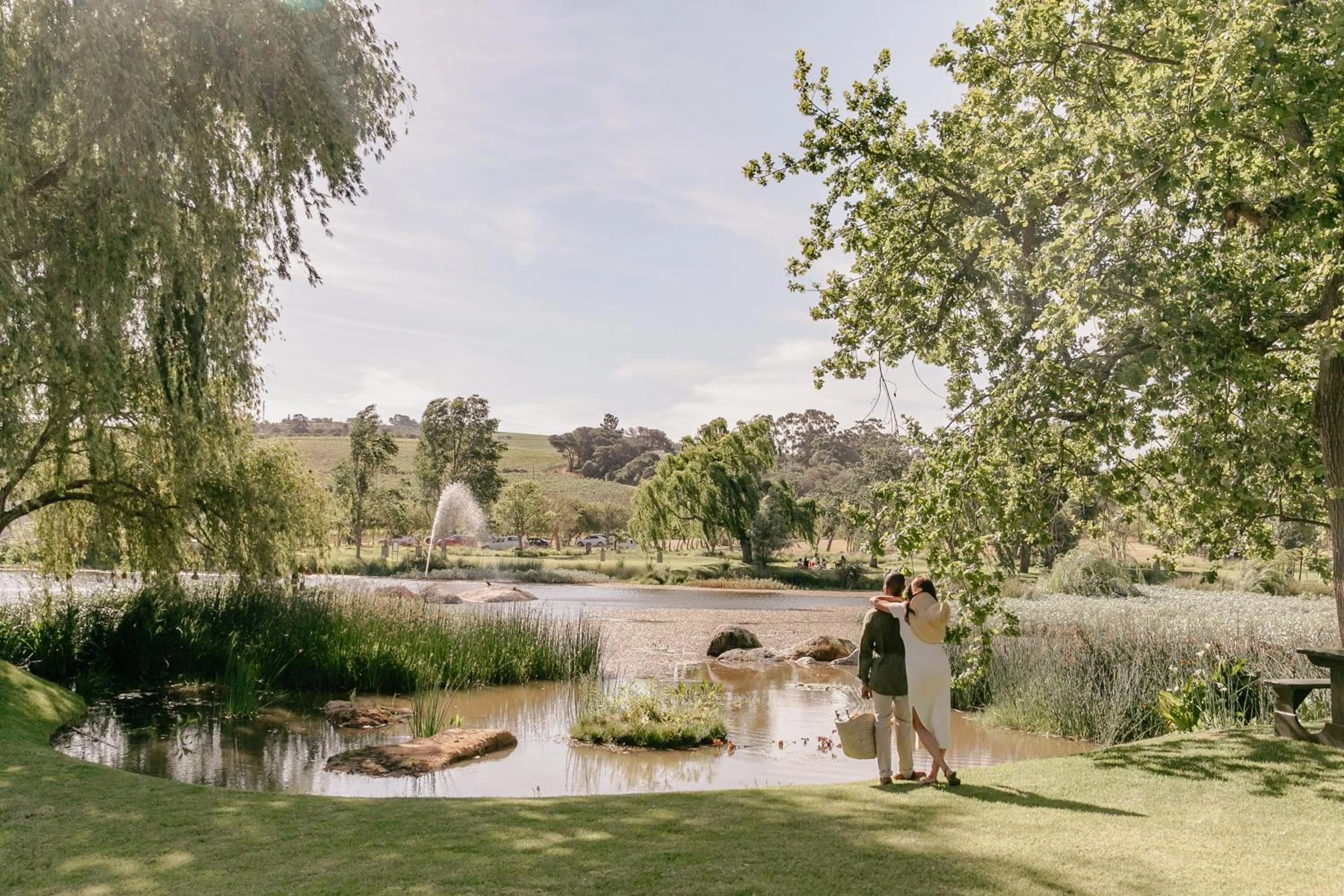 Natural landscape in Spier Hotel and Wine Farm