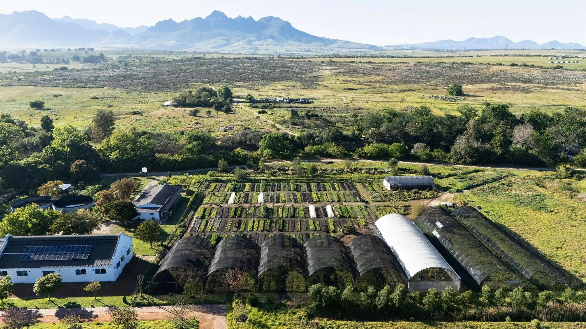 Garden in Spier Hotel and Wine Farm