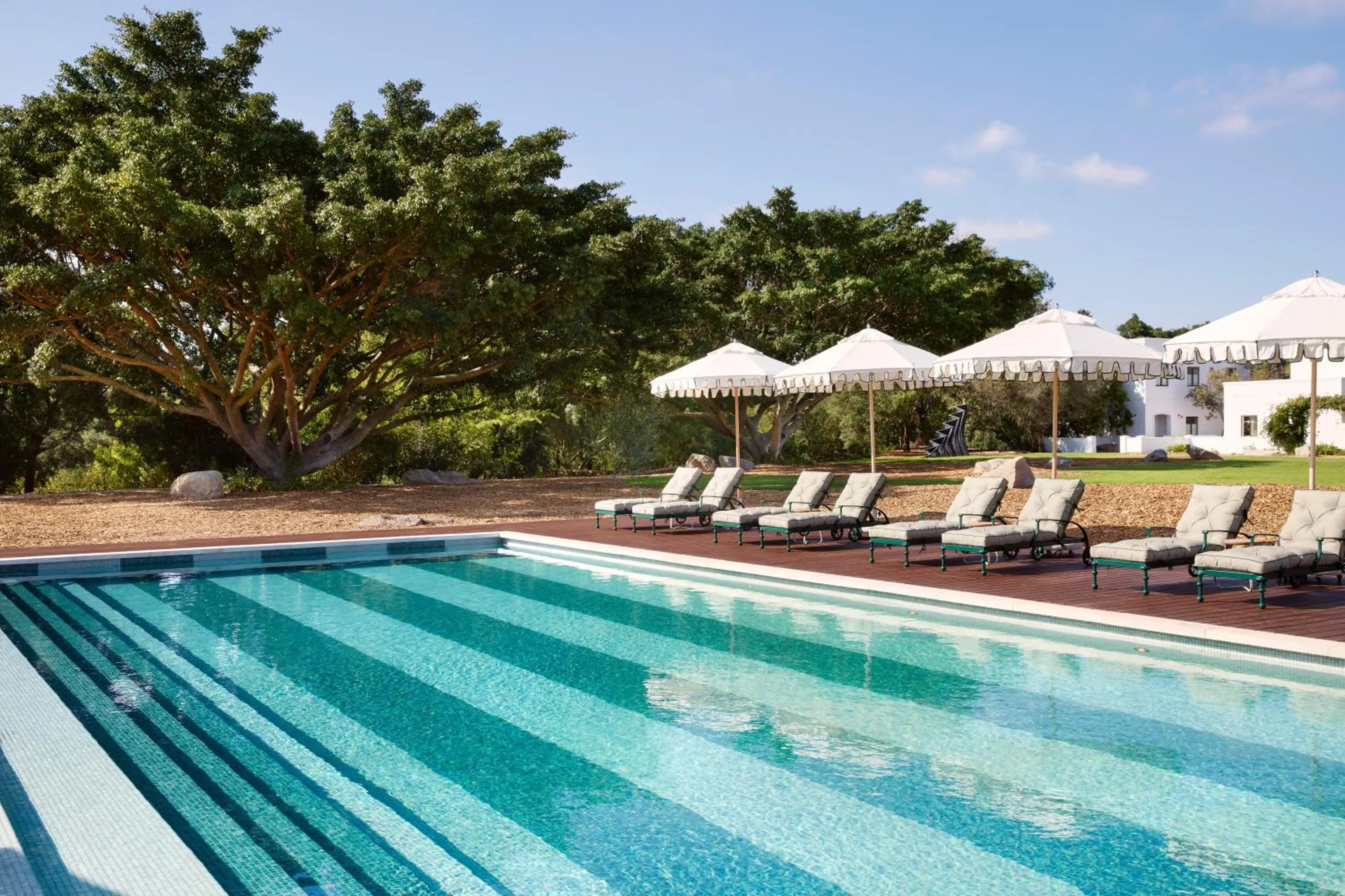 Swimming pool in Spier Hotel and Wine Farm