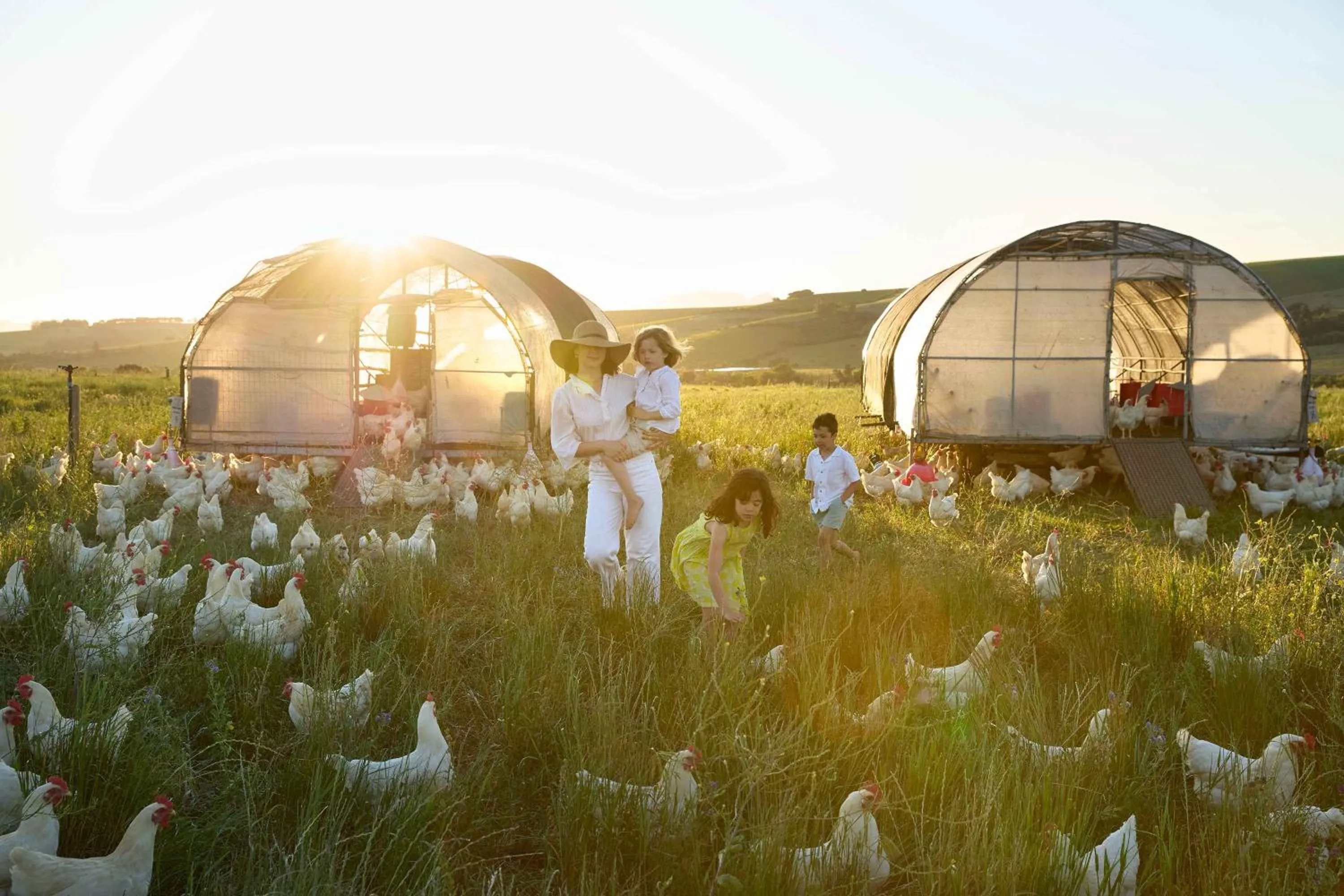 Natural landscape in Spier Hotel and Wine Farm