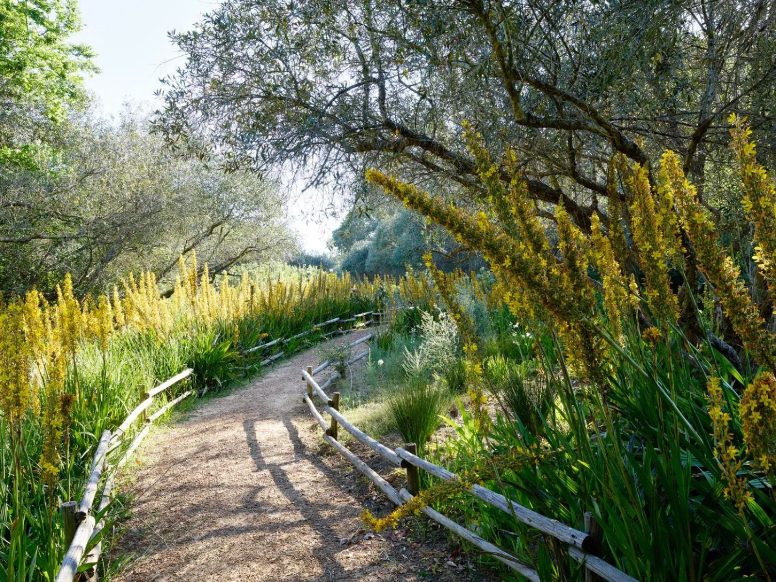 Activities in Spier Hotel and Wine Farm