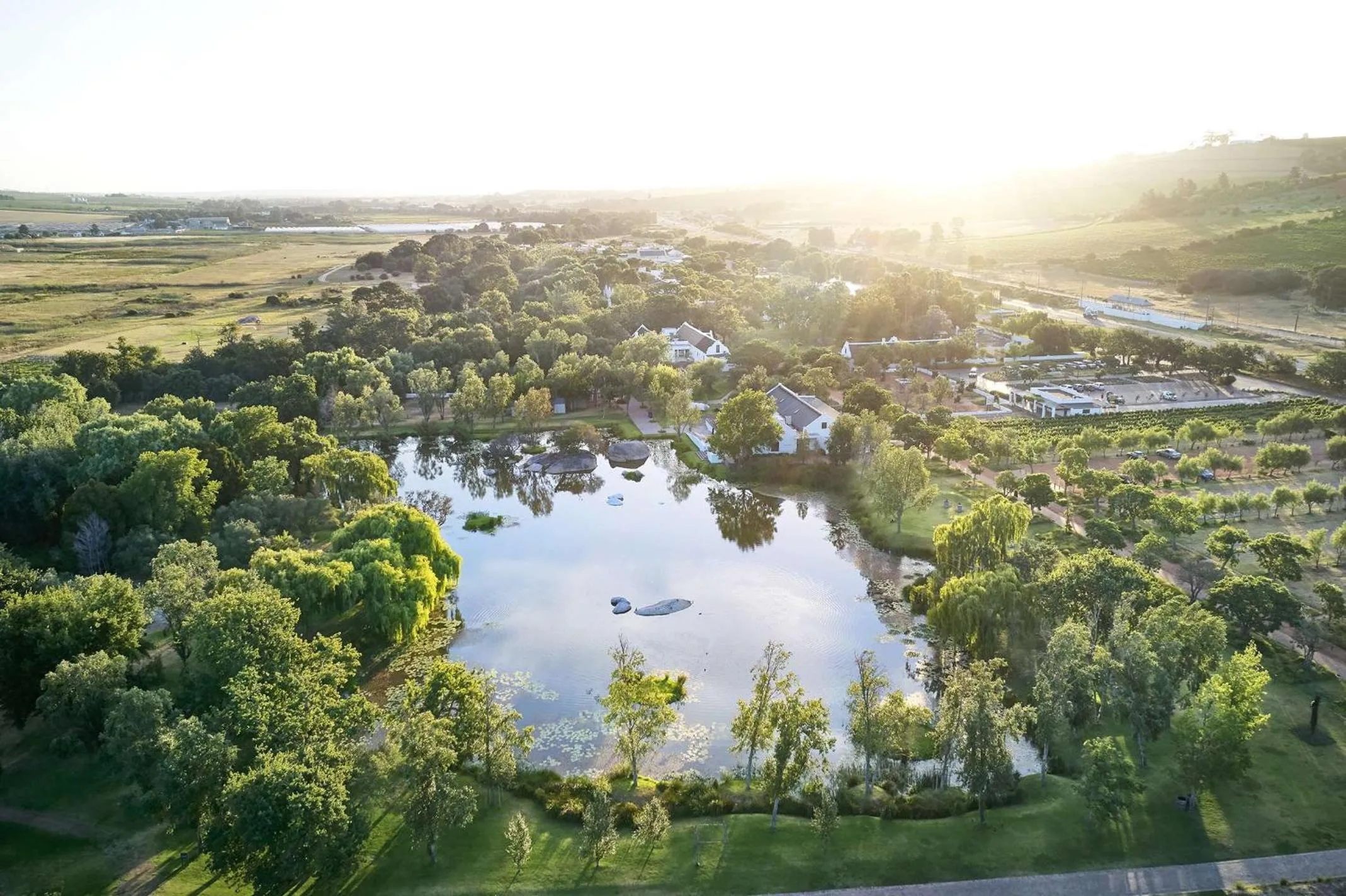 Bird's eye view in Spier Hotel and Wine Farm