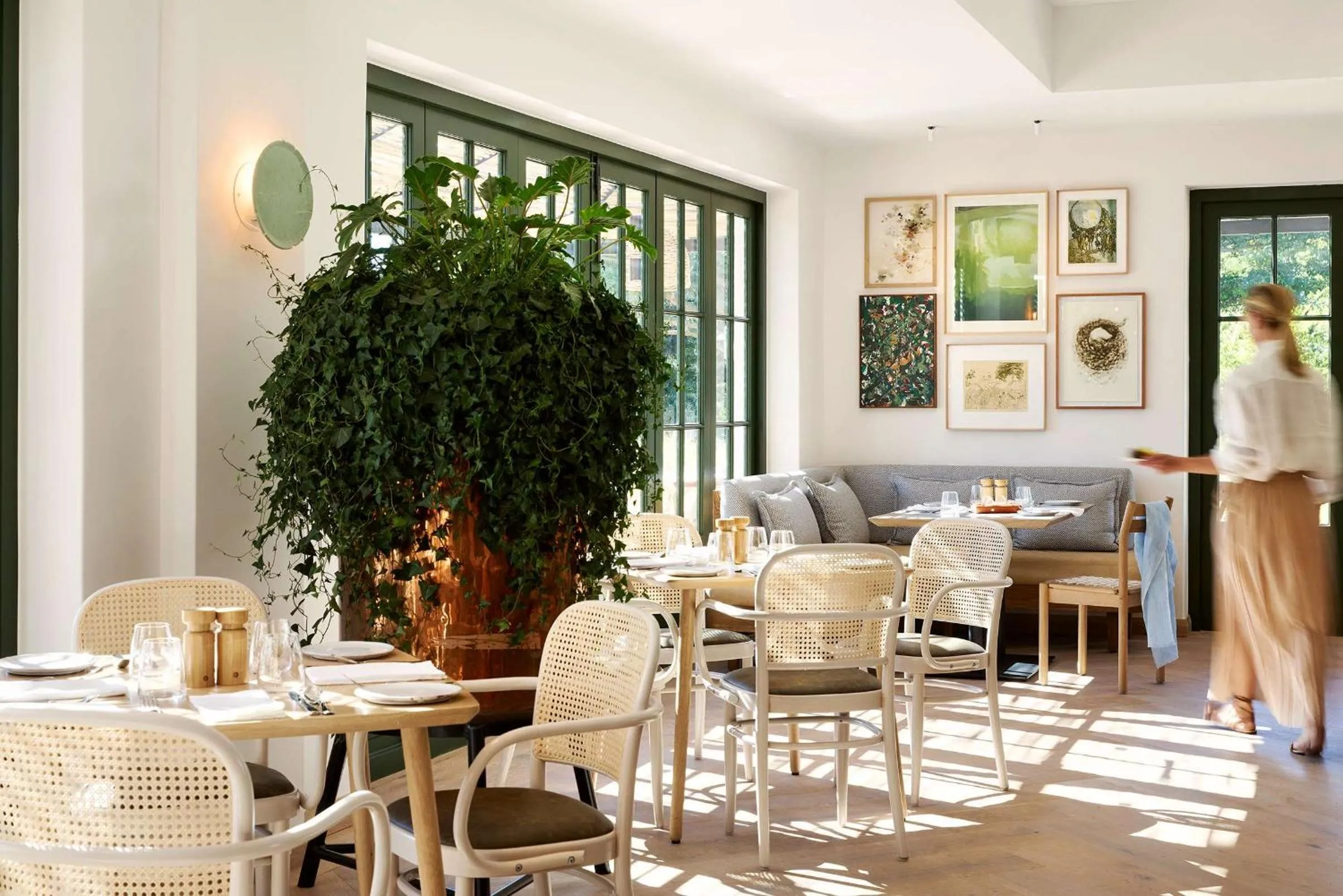 Restaurant/places to eat in Spier Hotel and Wine Farm
