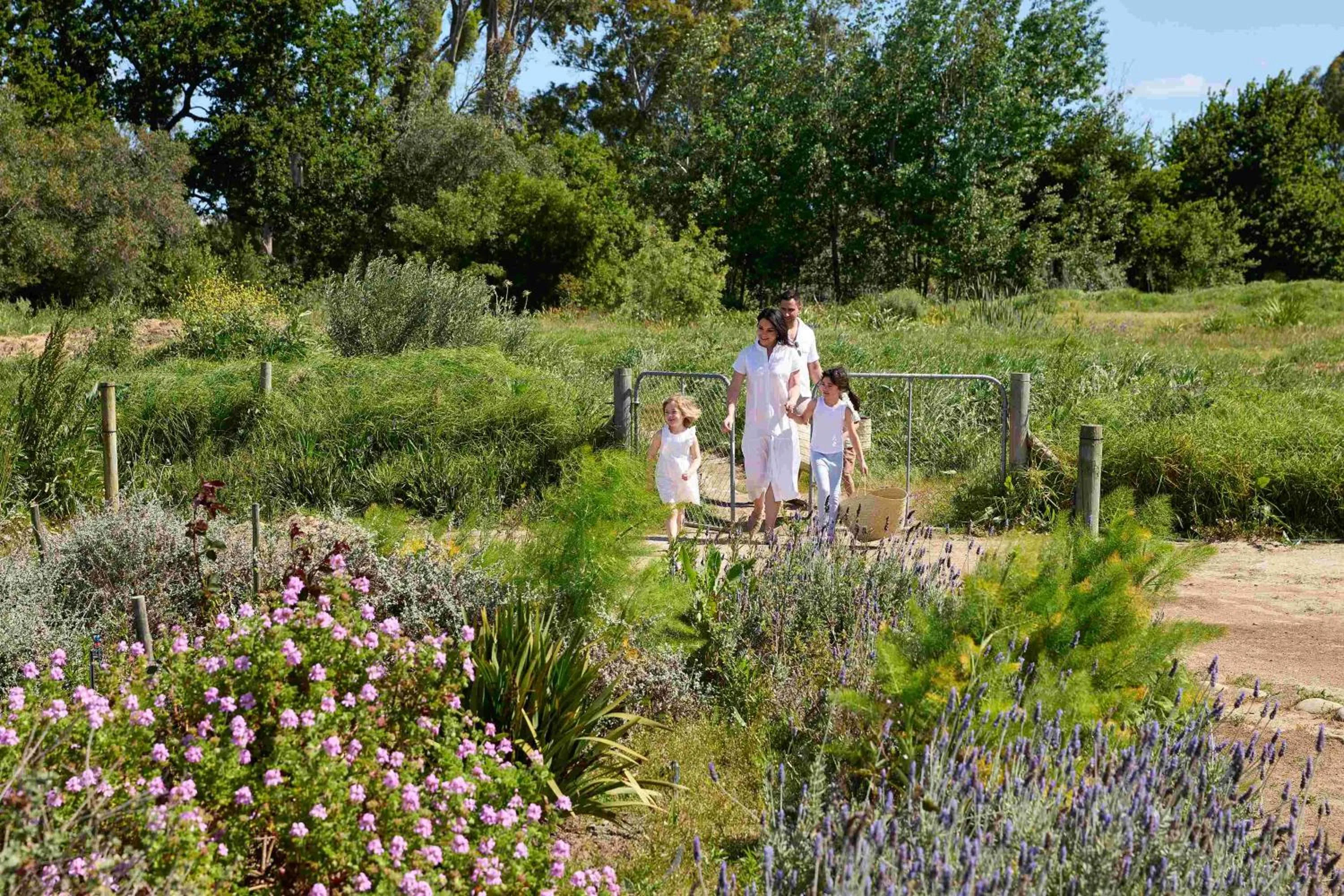 children in Spier Hotel and Wine Farm