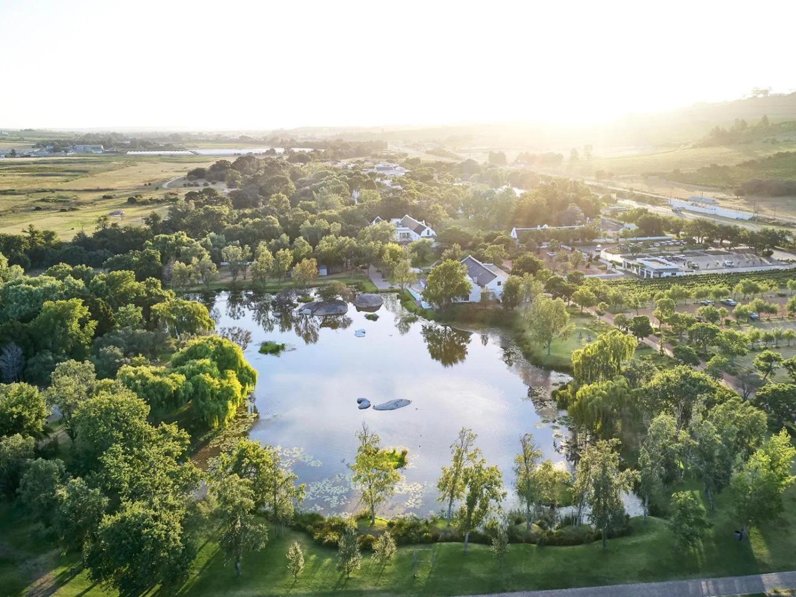 View (from property/room) in Spier Hotel and Wine Farm
