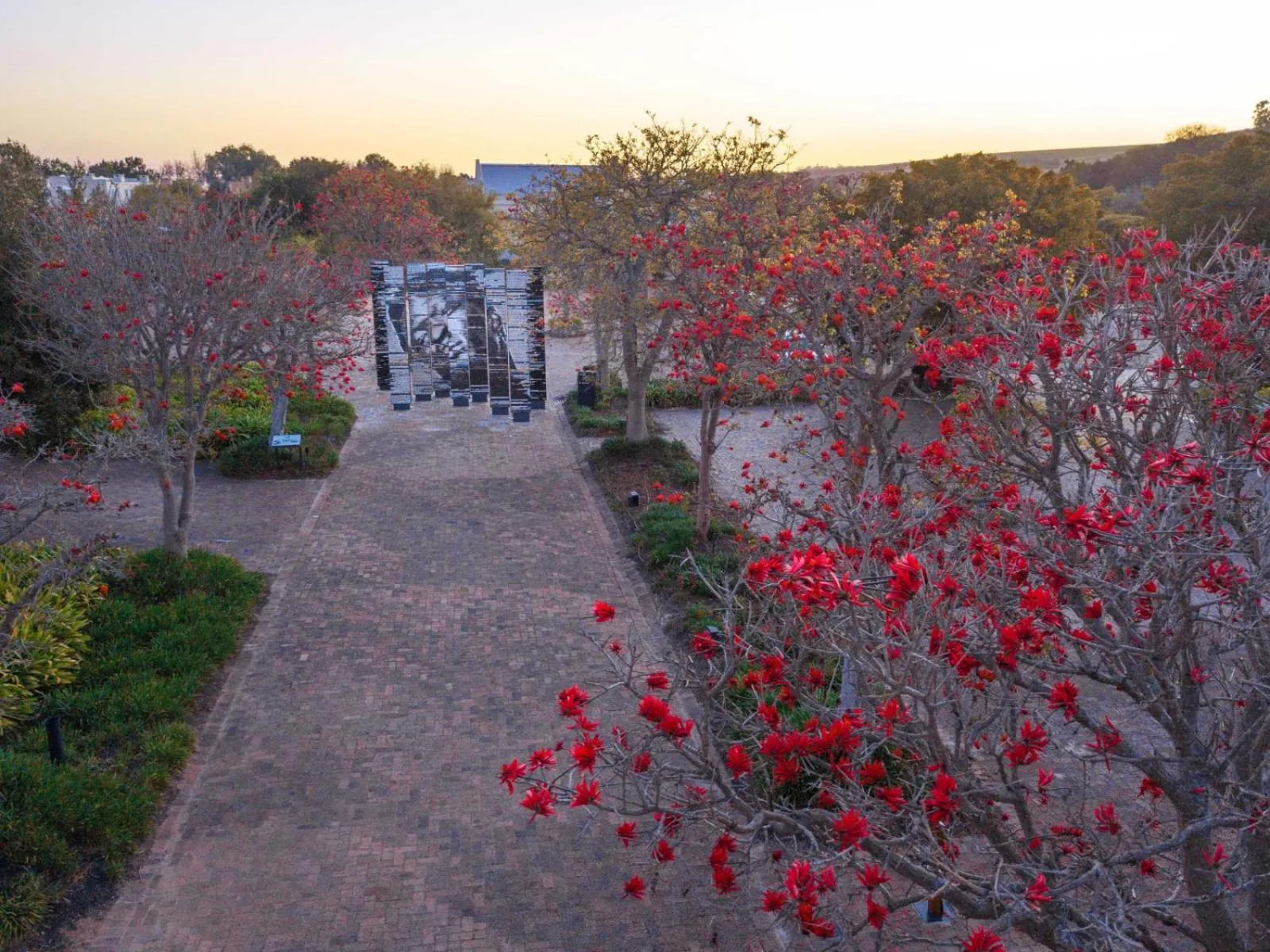 Activities in Spier Hotel and Wine Farm