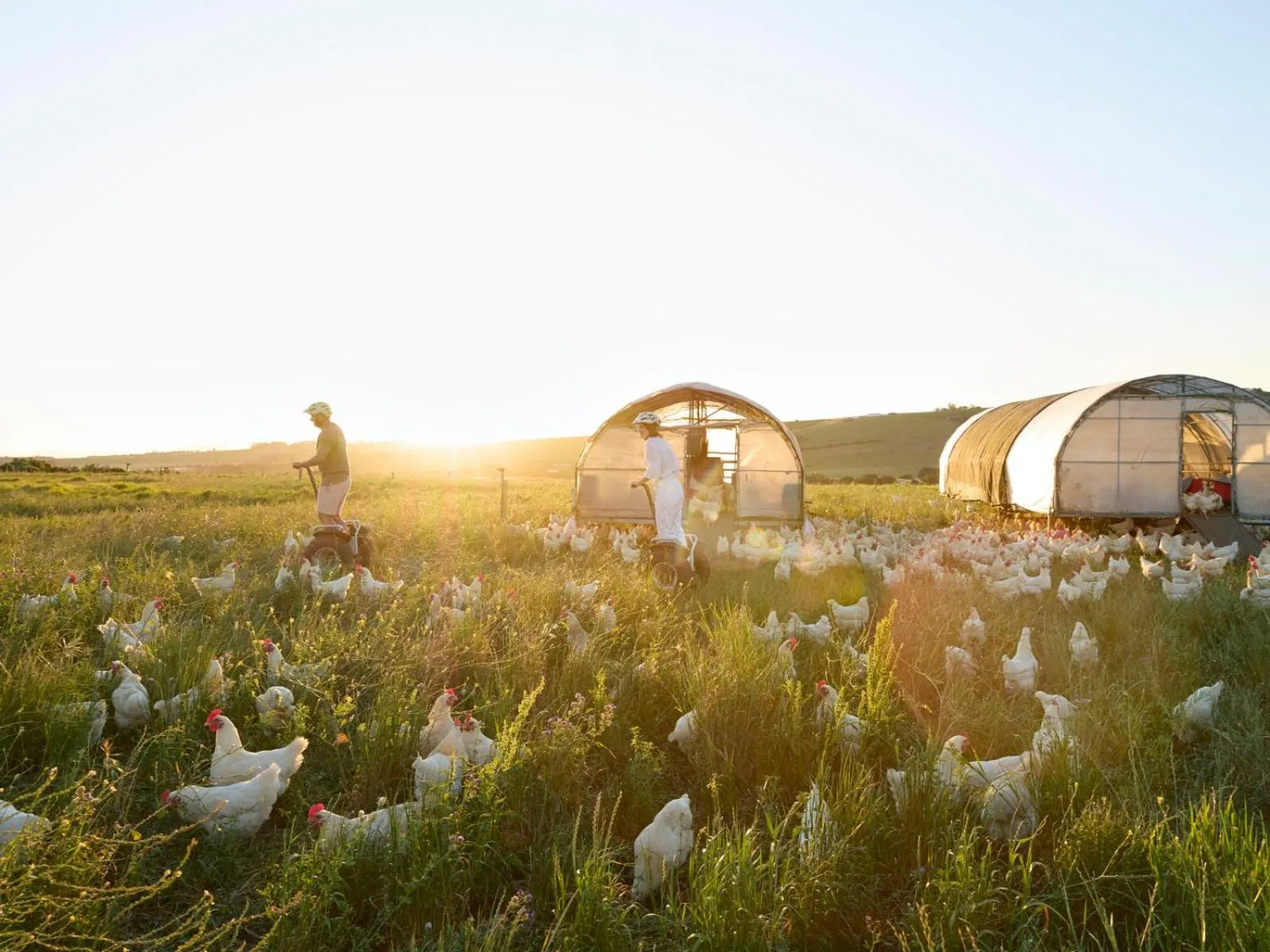 Activities in Spier Hotel and Wine Farm