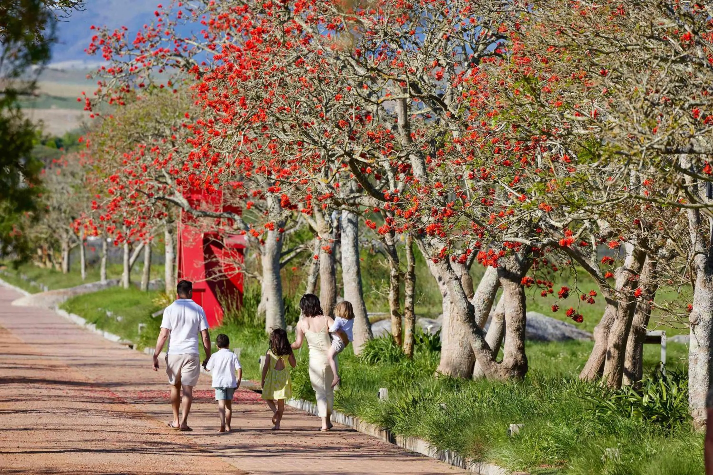 group of guests in Spier Hotel and Wine Farm